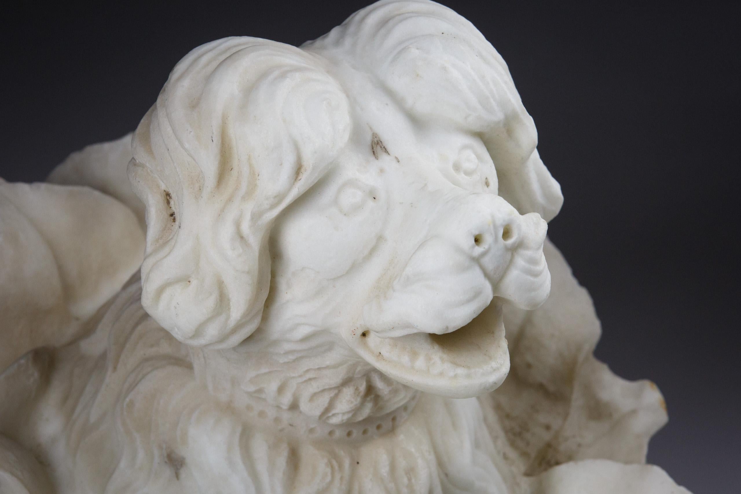 Caño de fuente mural de mármol tallado Lagotto Romagnolo Perro en venta 1