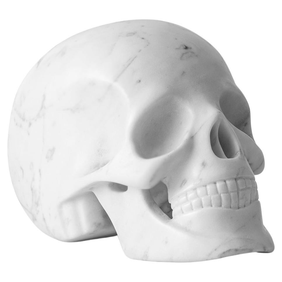 Carved Marble Skull in Carrara Marble For Sale