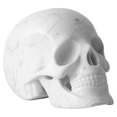 Carved Marble Skull in Carrara Marble