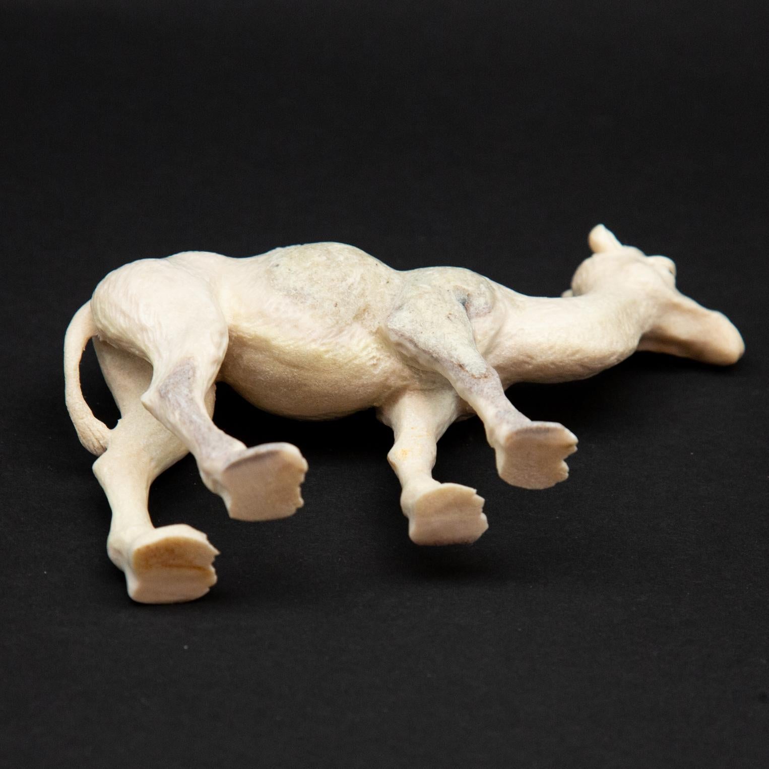 moose vs camel
