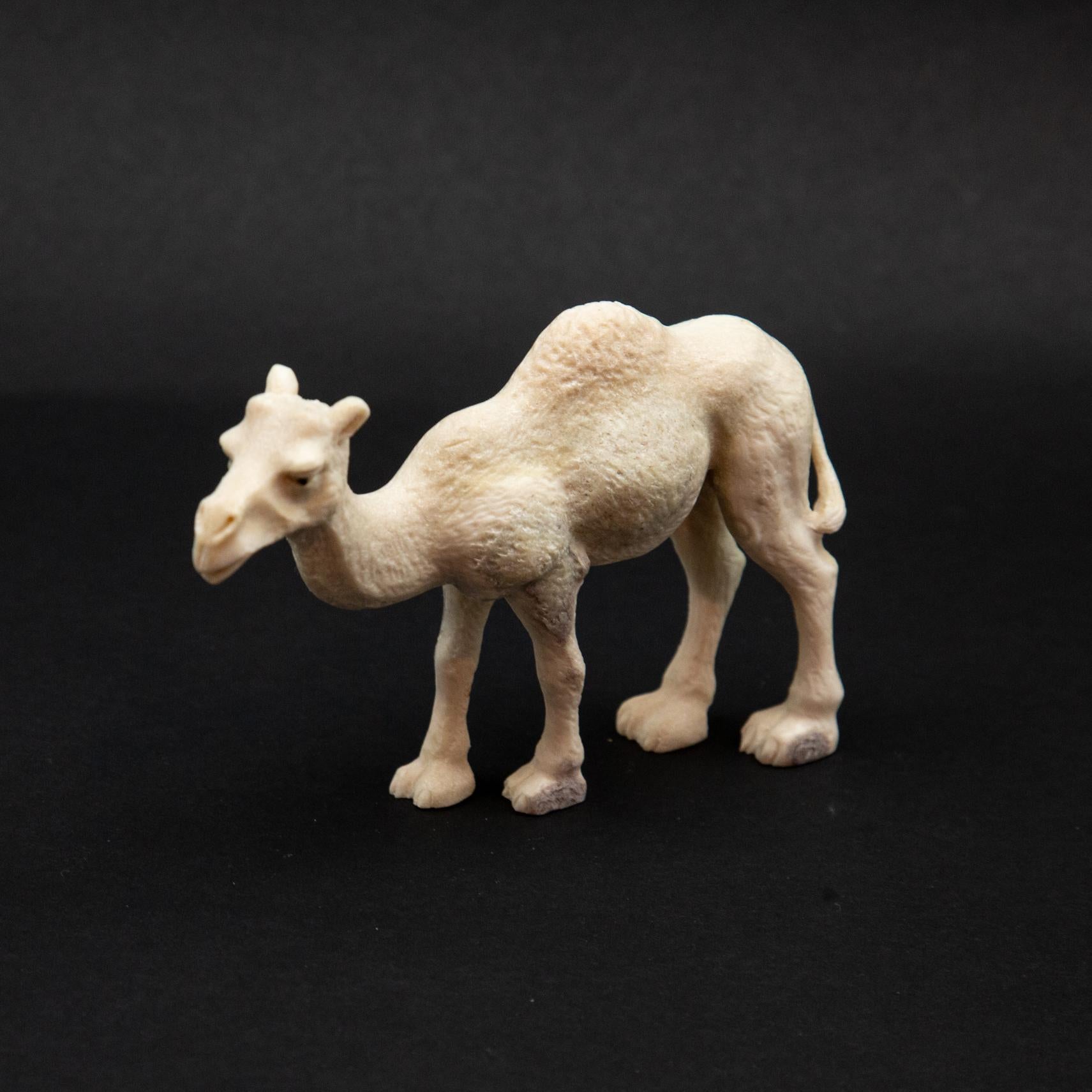 schleich camel