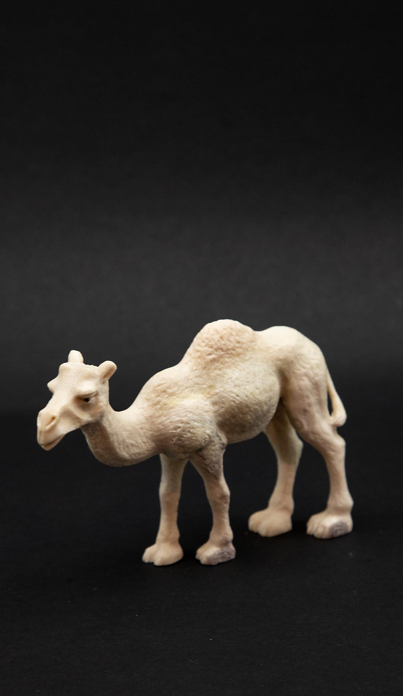 Indonesian Carved Moose Antler Camel