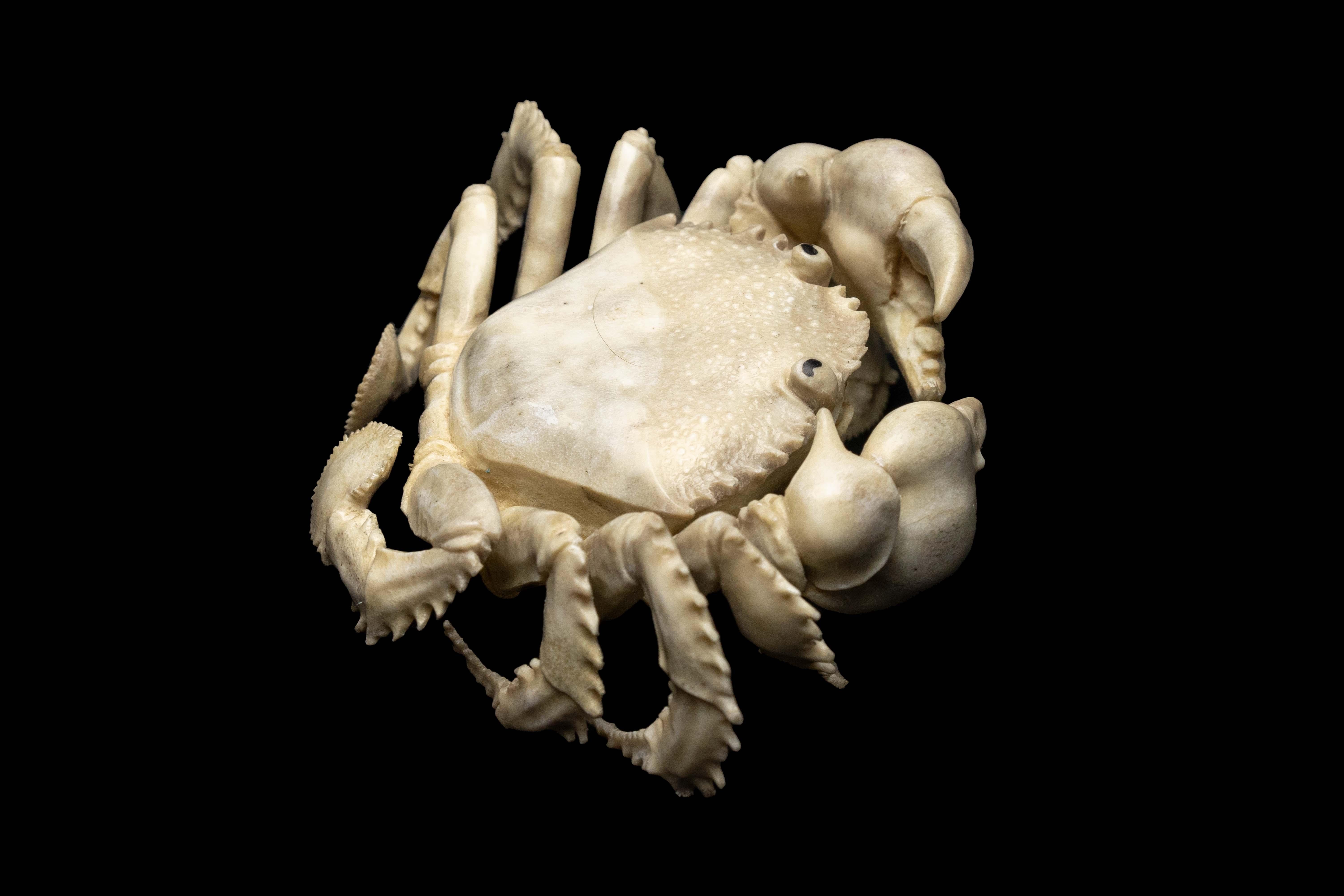 Carved Moose Antler Crab In New Condition In New York, NY