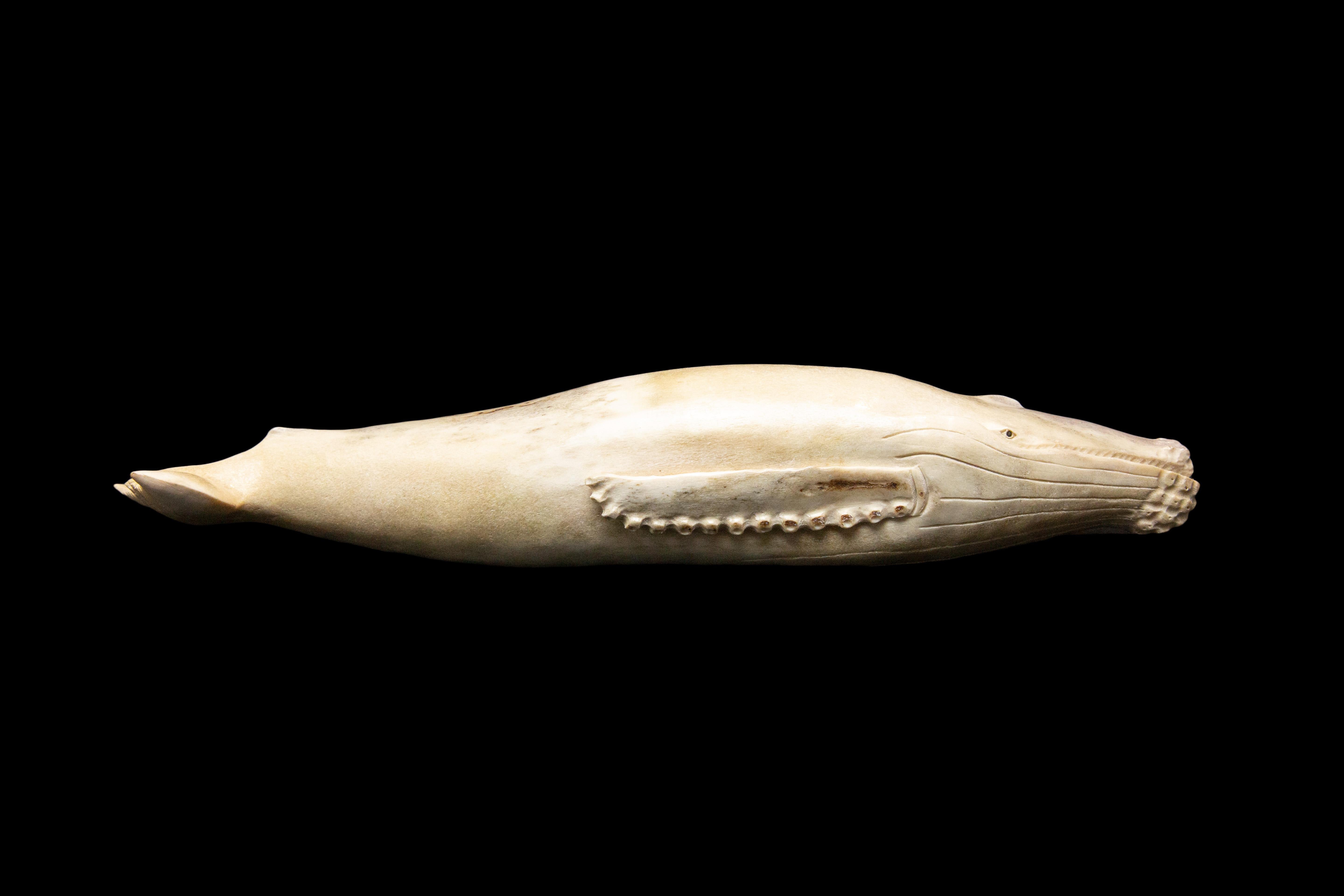 Carved Moose Antler Whale In New Condition In New York, NY