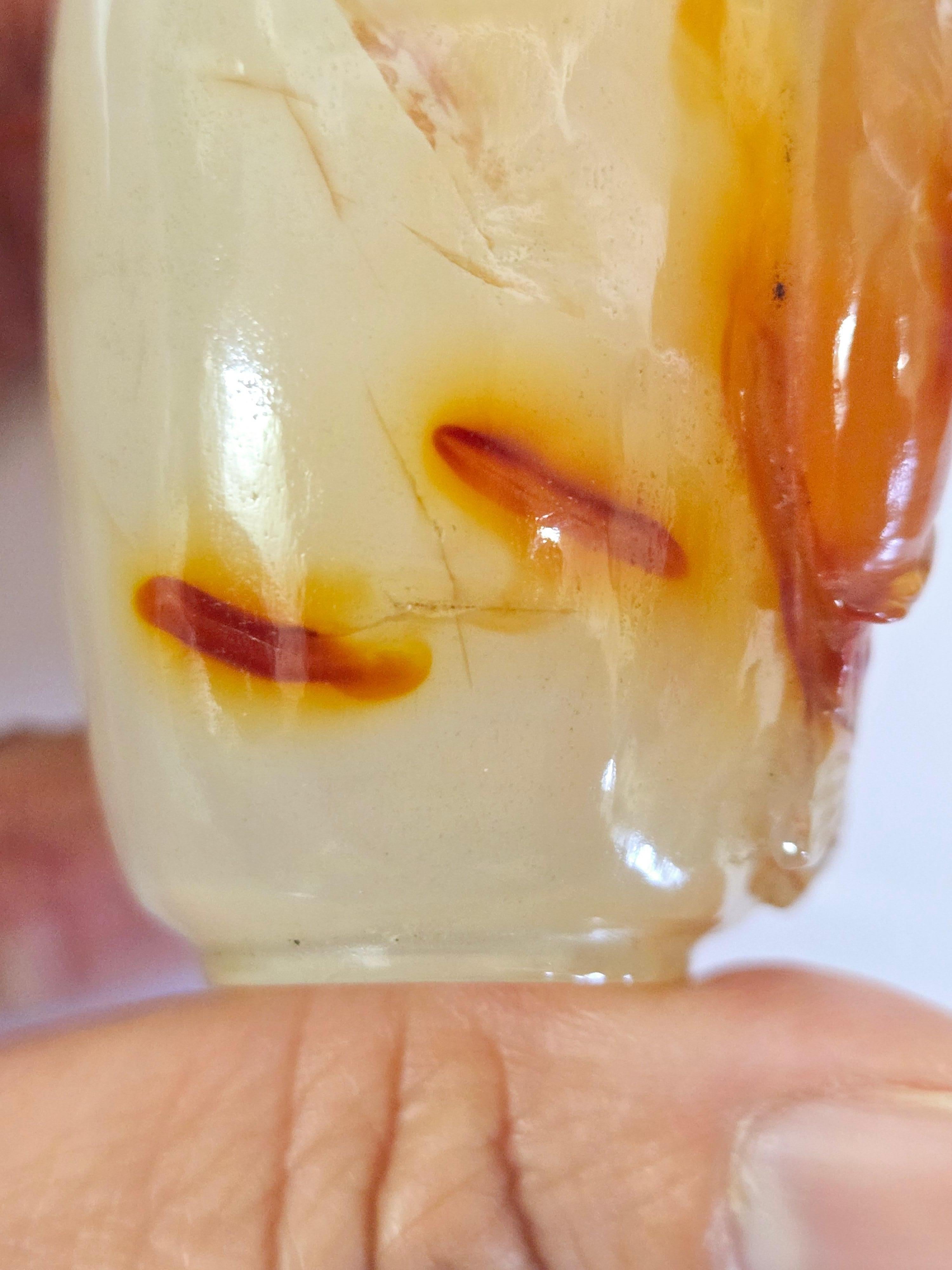 Tabacchiera in agata naturale intagliata con design a due pesci in vendita 8