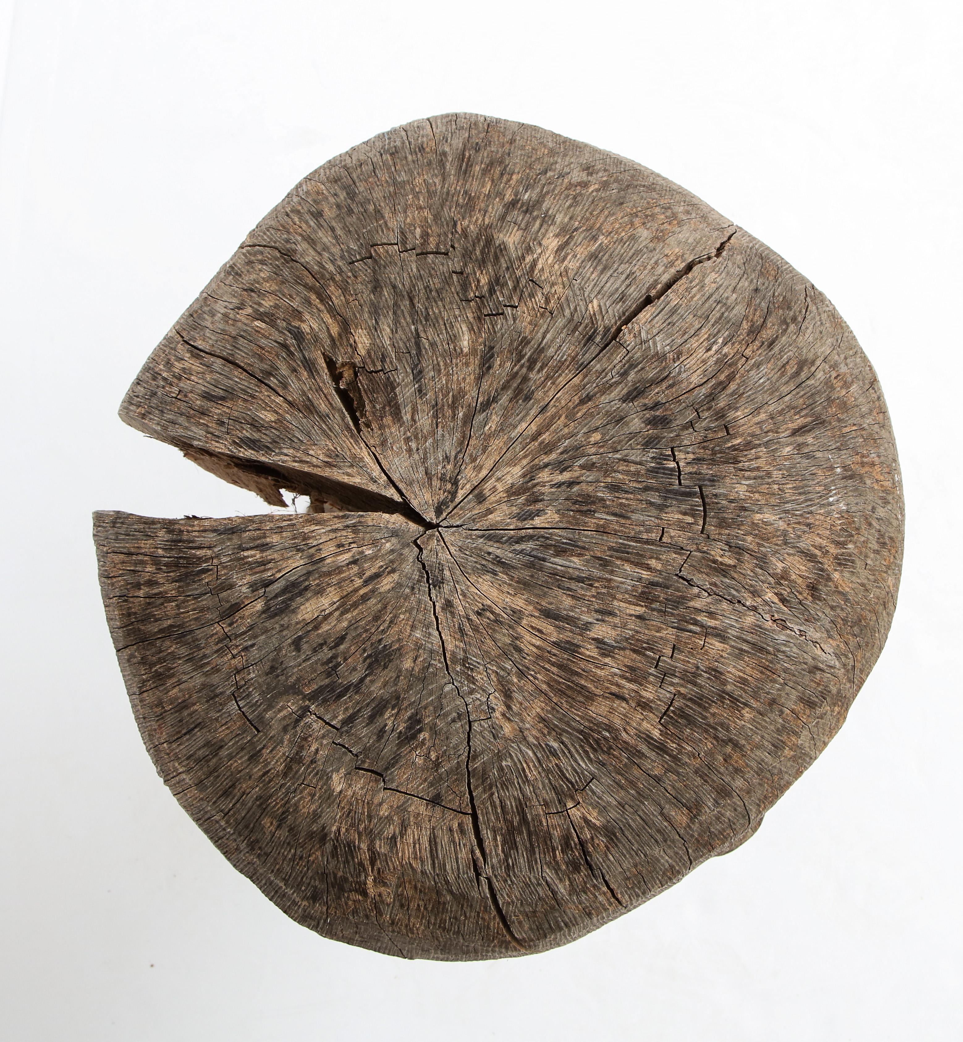 Wood Carved Oak Mushroom For Sale