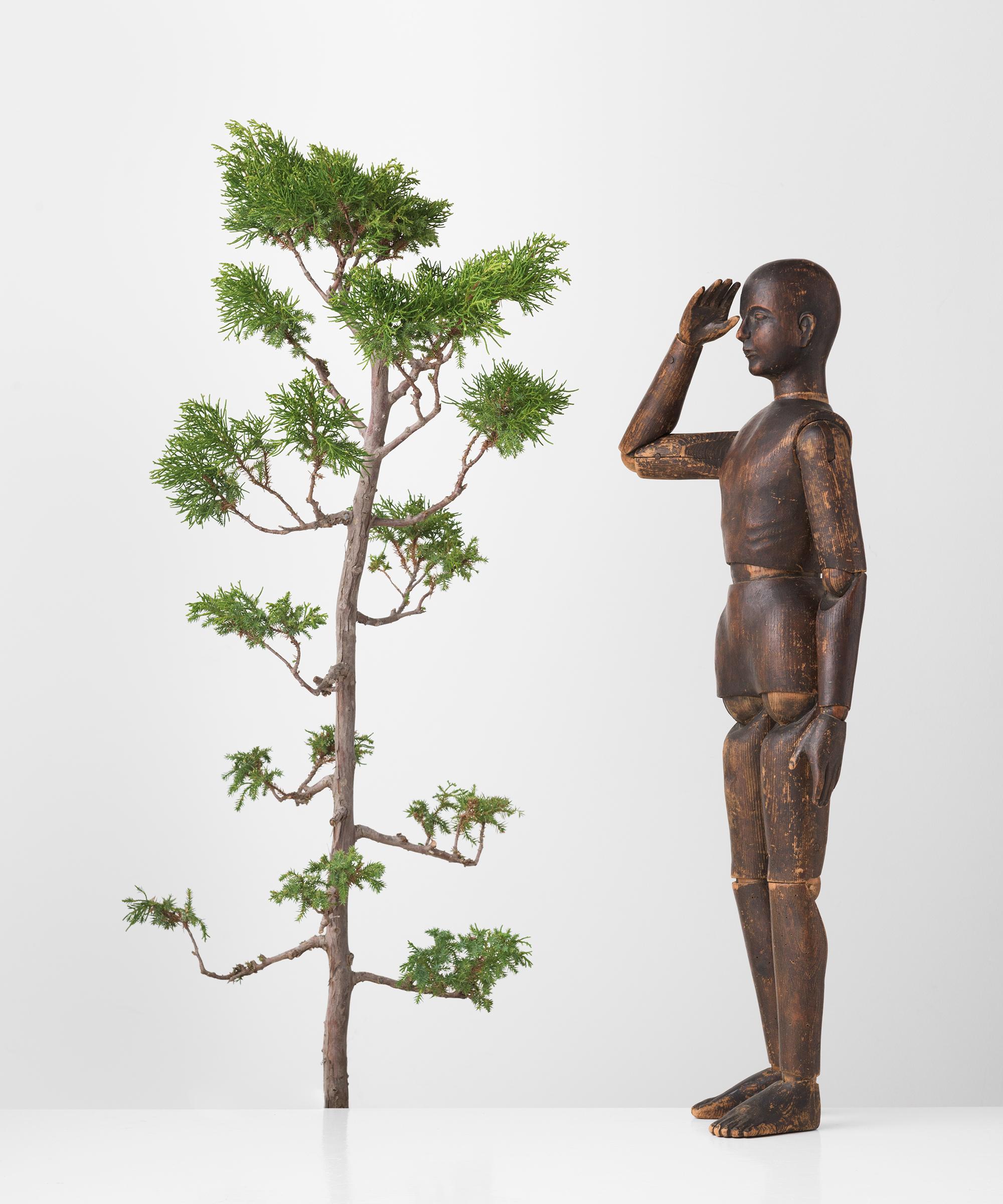 French Carved Pine Artist Model, France, circa 1860 For Sale