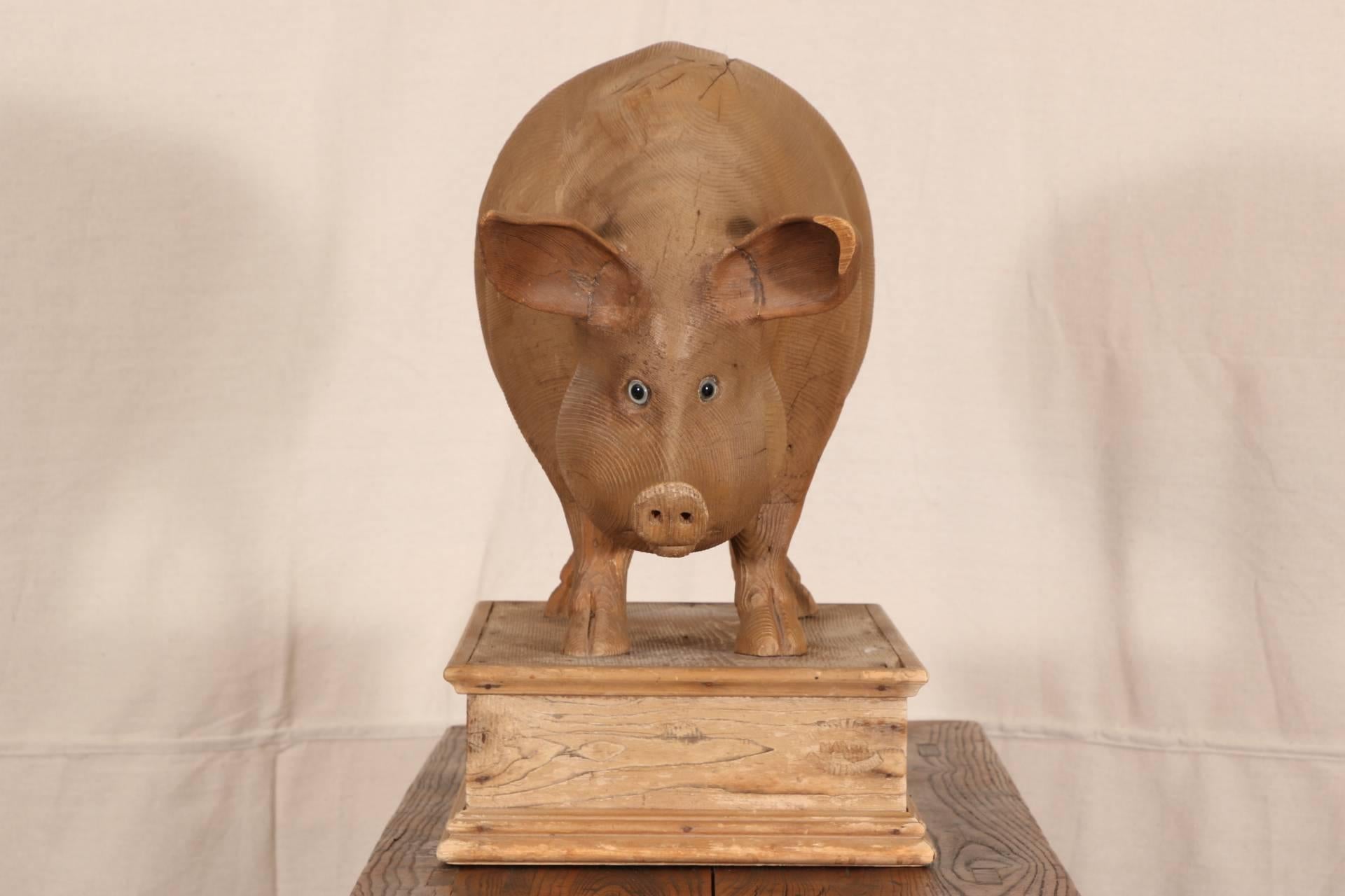 Carved pine pig sculpture, mounted on a carved rectangular base, with glass eyes.

Condition: Expected wear and signs of use including some surface scratching and sporadic nicking, some checking, chip to left ear.