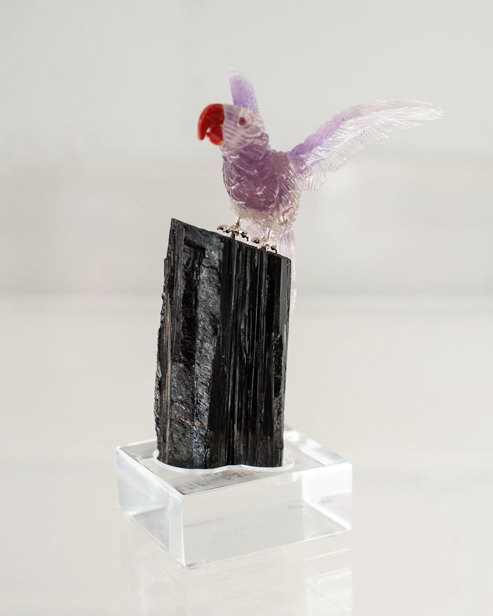 Hand-Carved Carved Rainbow Fluorite Macaw on Black Tourmaline Mineral Base