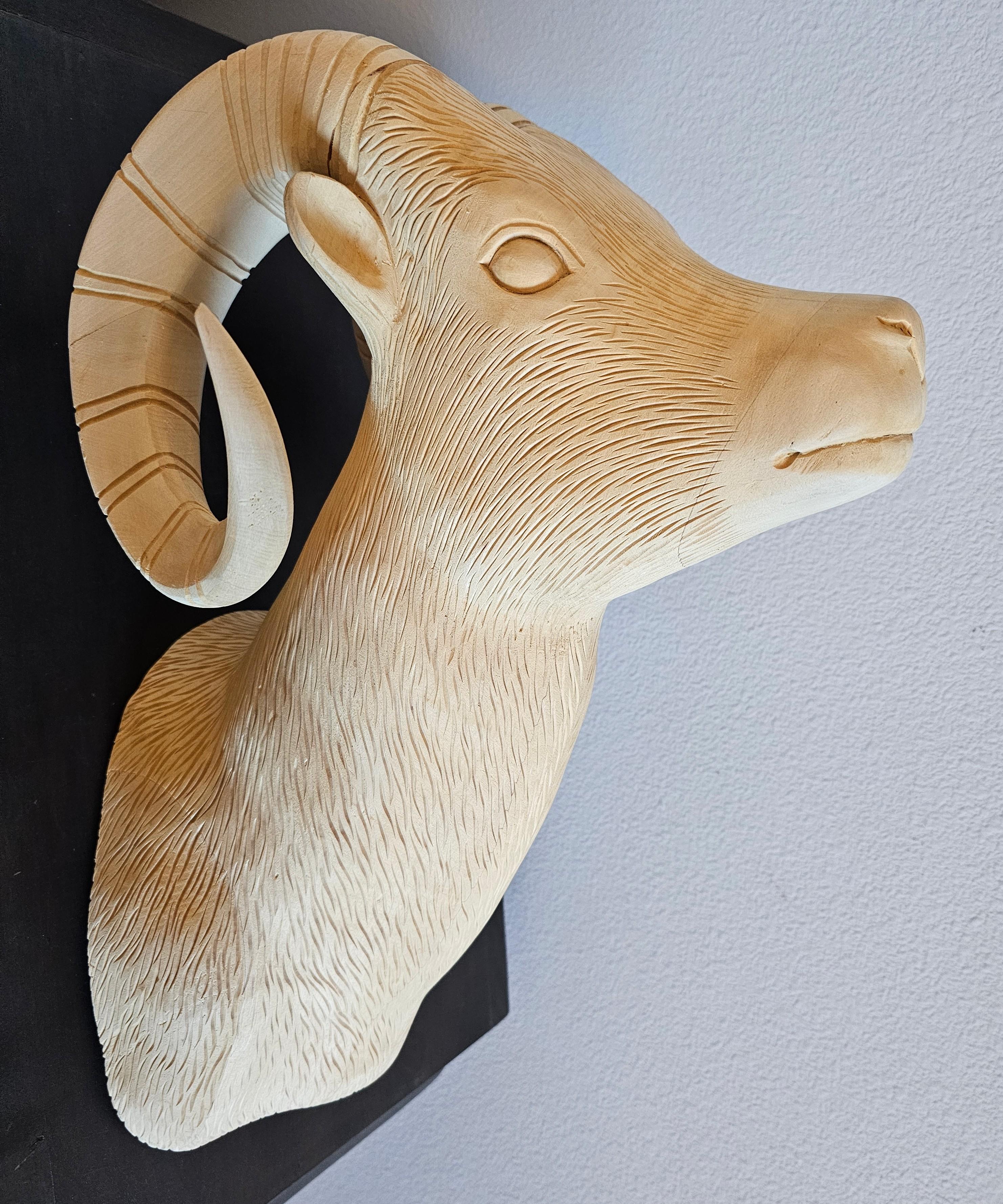 A large wooden carving modeled after a long horn sheep head shoulder mount. Exceptionally executed naturalistic form, stripped / bleached light wood, intricately detailed to imitate fur, facial features, muscular depth and texture to horns. Equipped