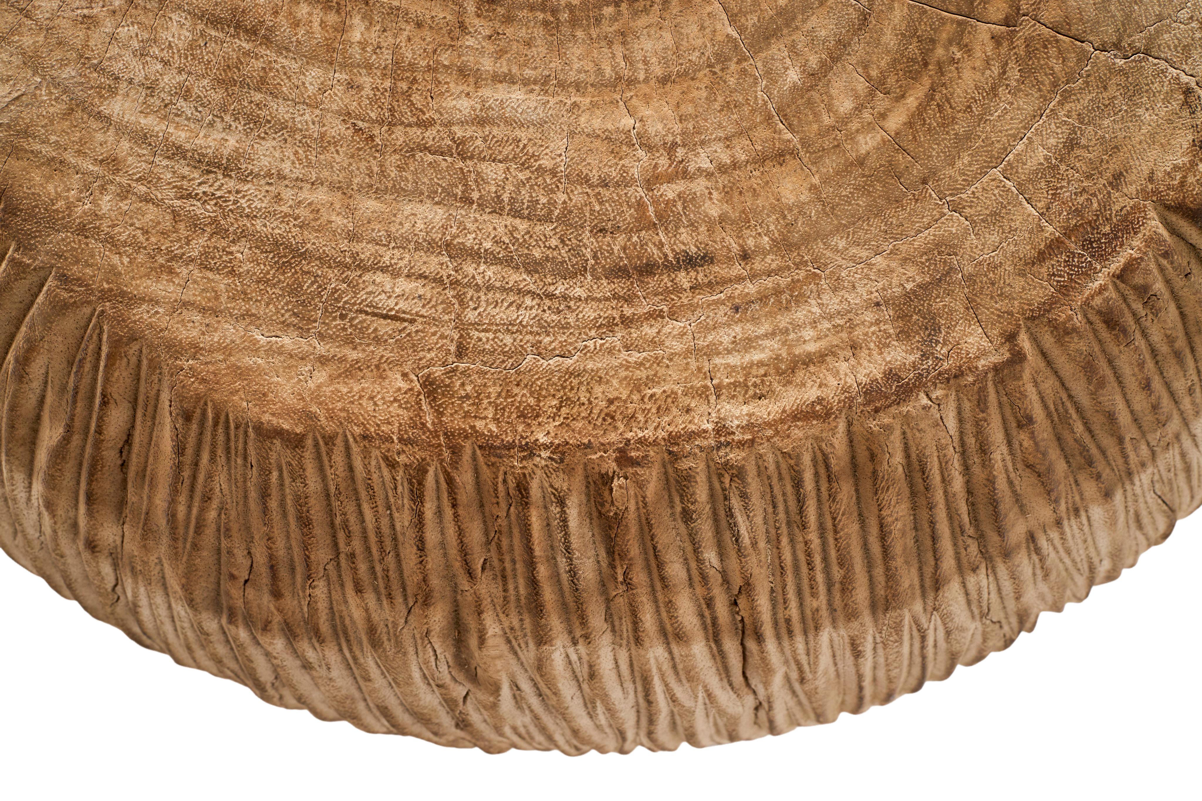 Wood Carved Reclaimed Elm Blonde Round Side Table For Sale