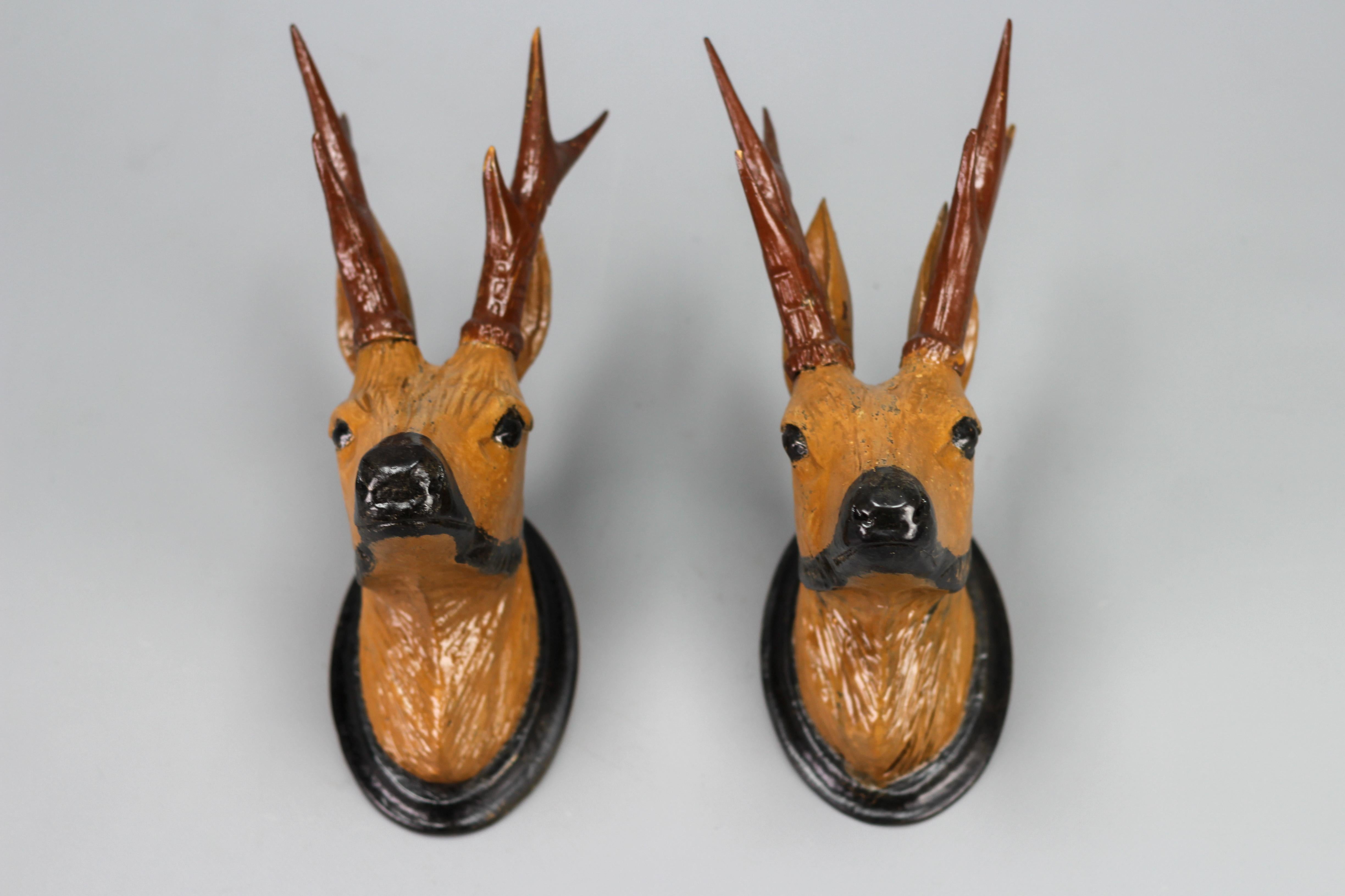 Carved Wooden Roe Deer Heads wall mounts decoration, Germany, 1930s, Set of Two
This absolutely adorable pair of roe deer heads is hand-carved of wood and hand-painted in light and dark brown and black colors. The antlers of both deer heads are