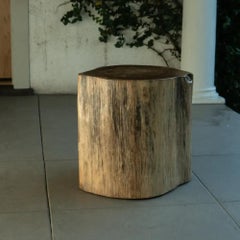 Carved Solid Wooden Stump