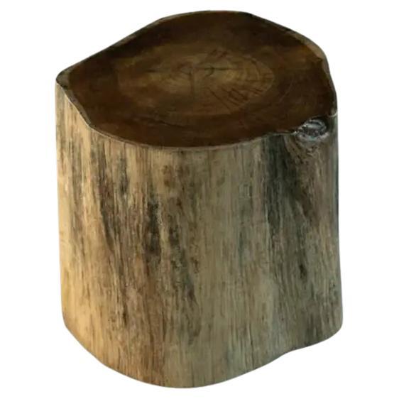 Souche en bois massif sculptée