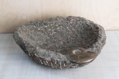 Bol en pierre sculptée avec détails de fossiles de goniatite. Maroc