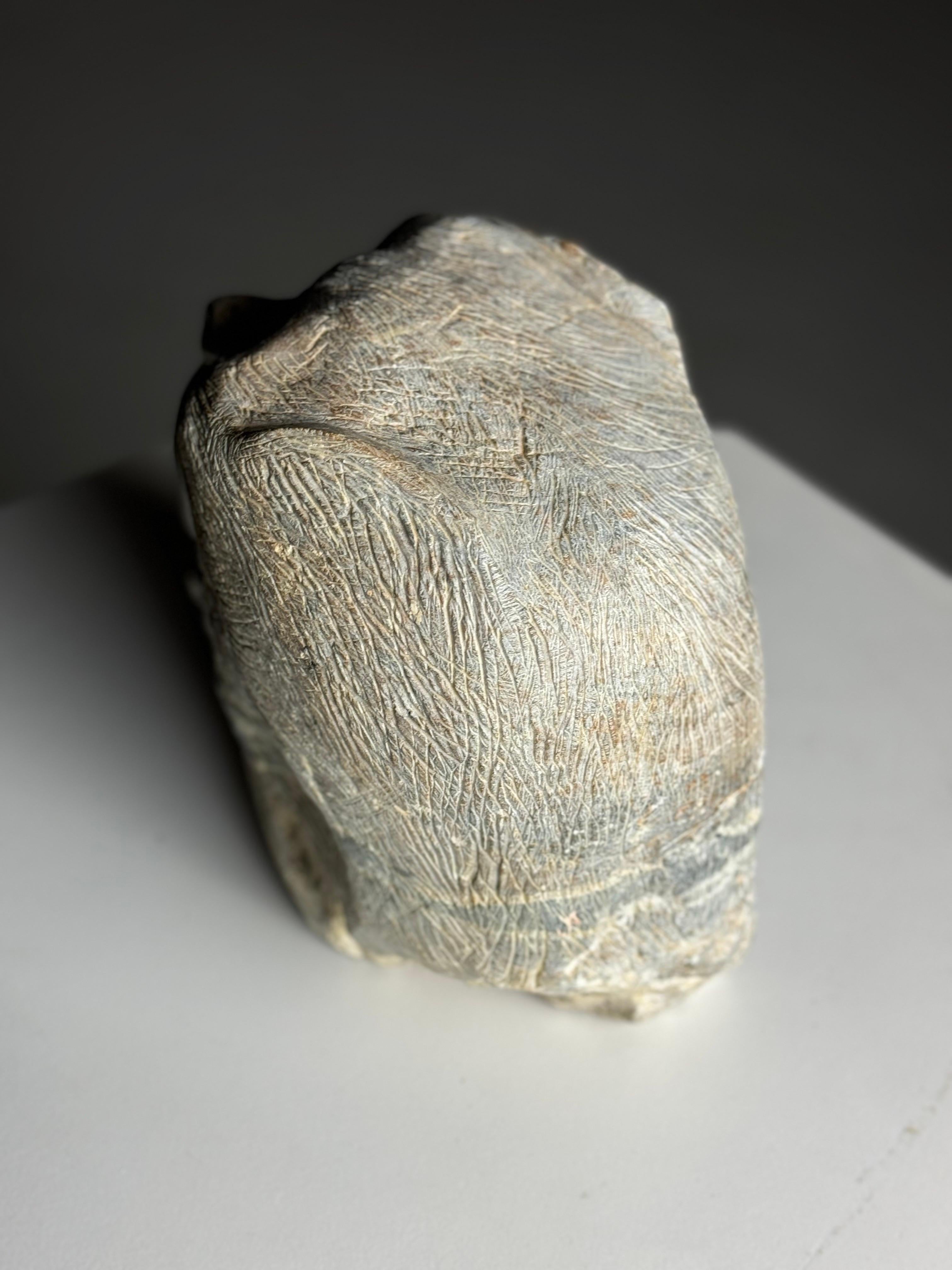 Testa di scimmia scolpita in pietra XX secolo in vendita 6