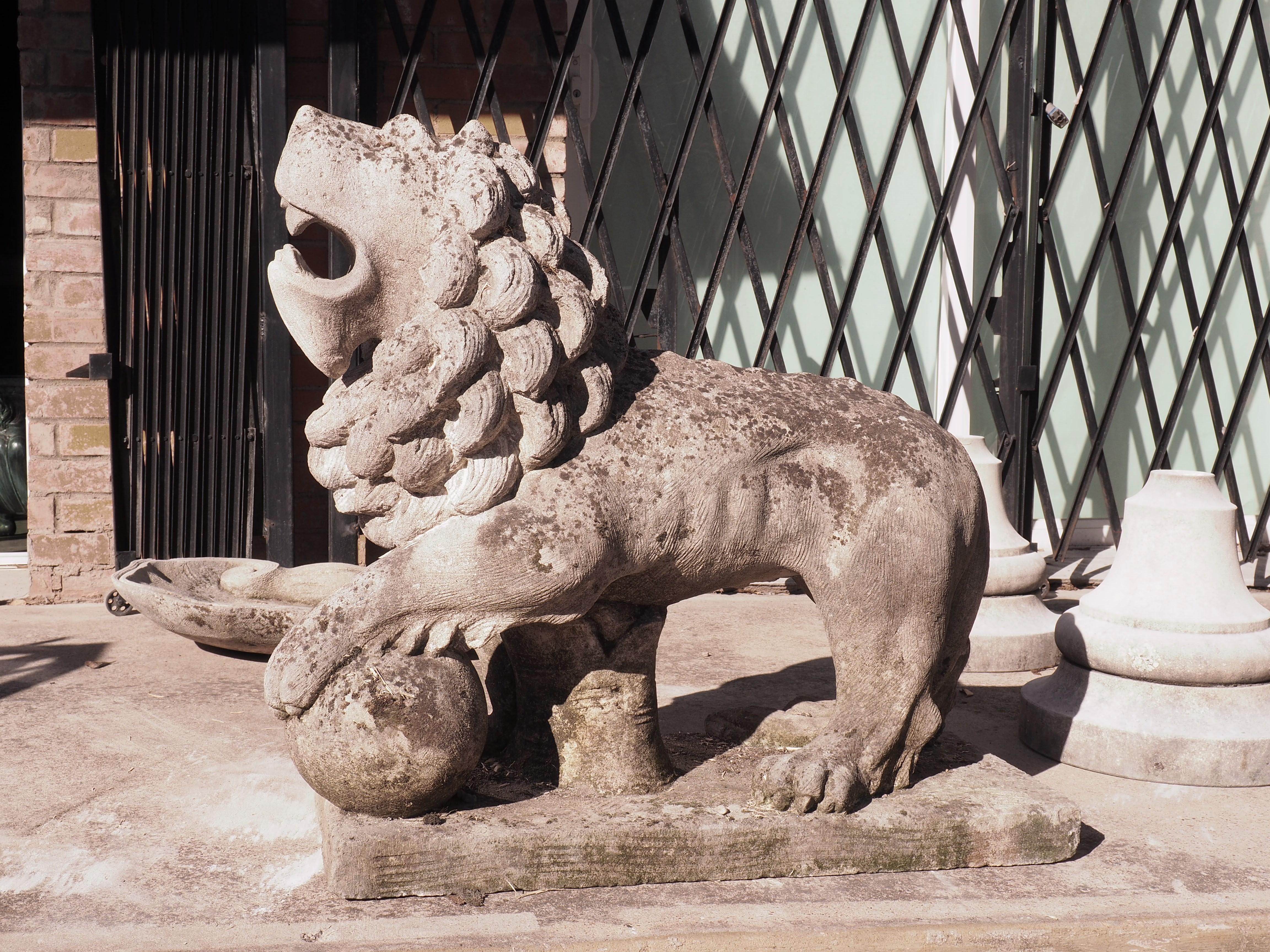 This handsome version of the Medici Lion with his paw on a ball has been carved out of Vicenza limestone, which is found in the Veneto region of Italy. In the 16th century, Ferdinando I de’ Medici requested that two lions be carved for his garden