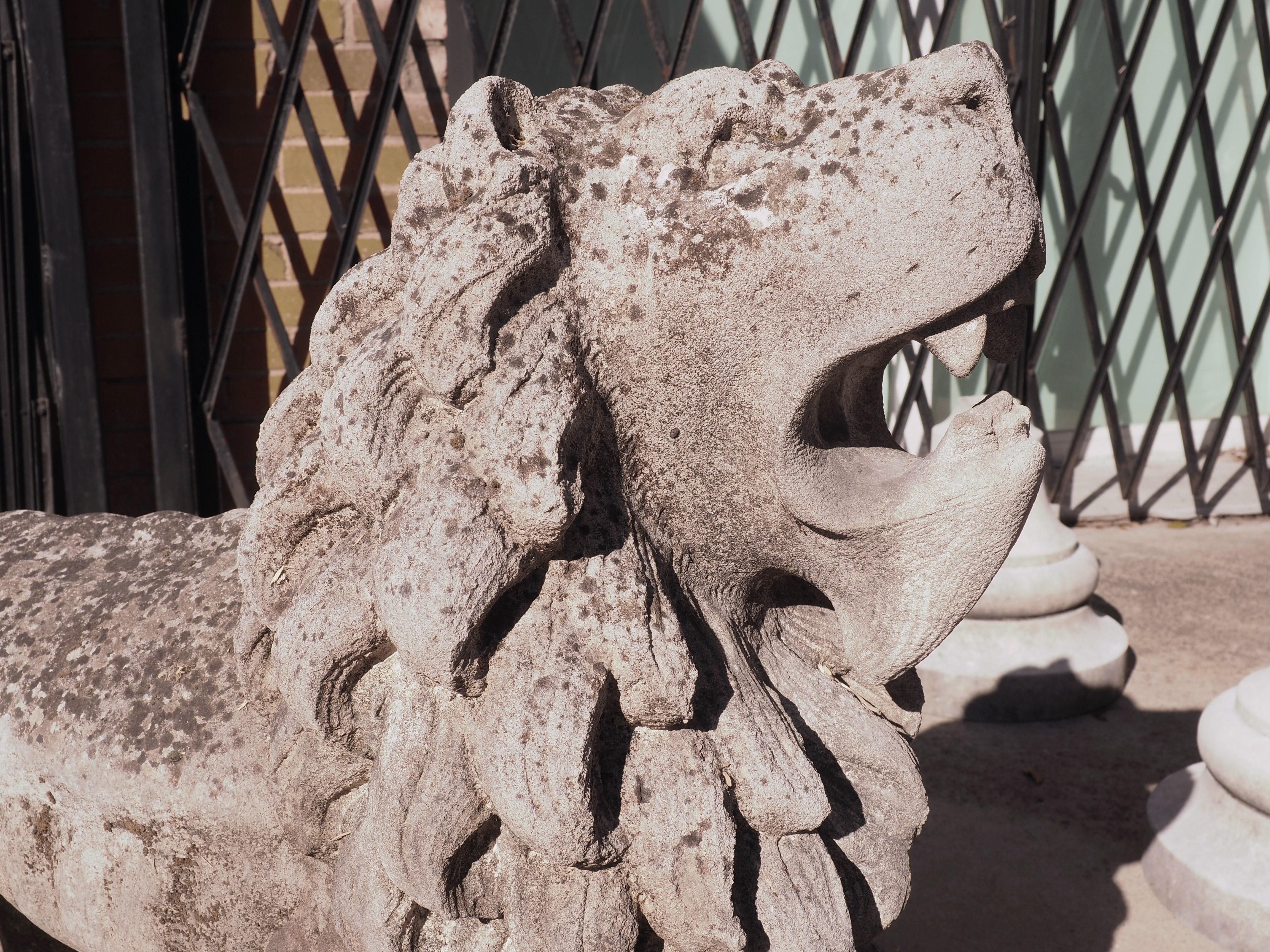 Contemporary Carved Stone Medici Lion Fountain Element from Veneto, Italy