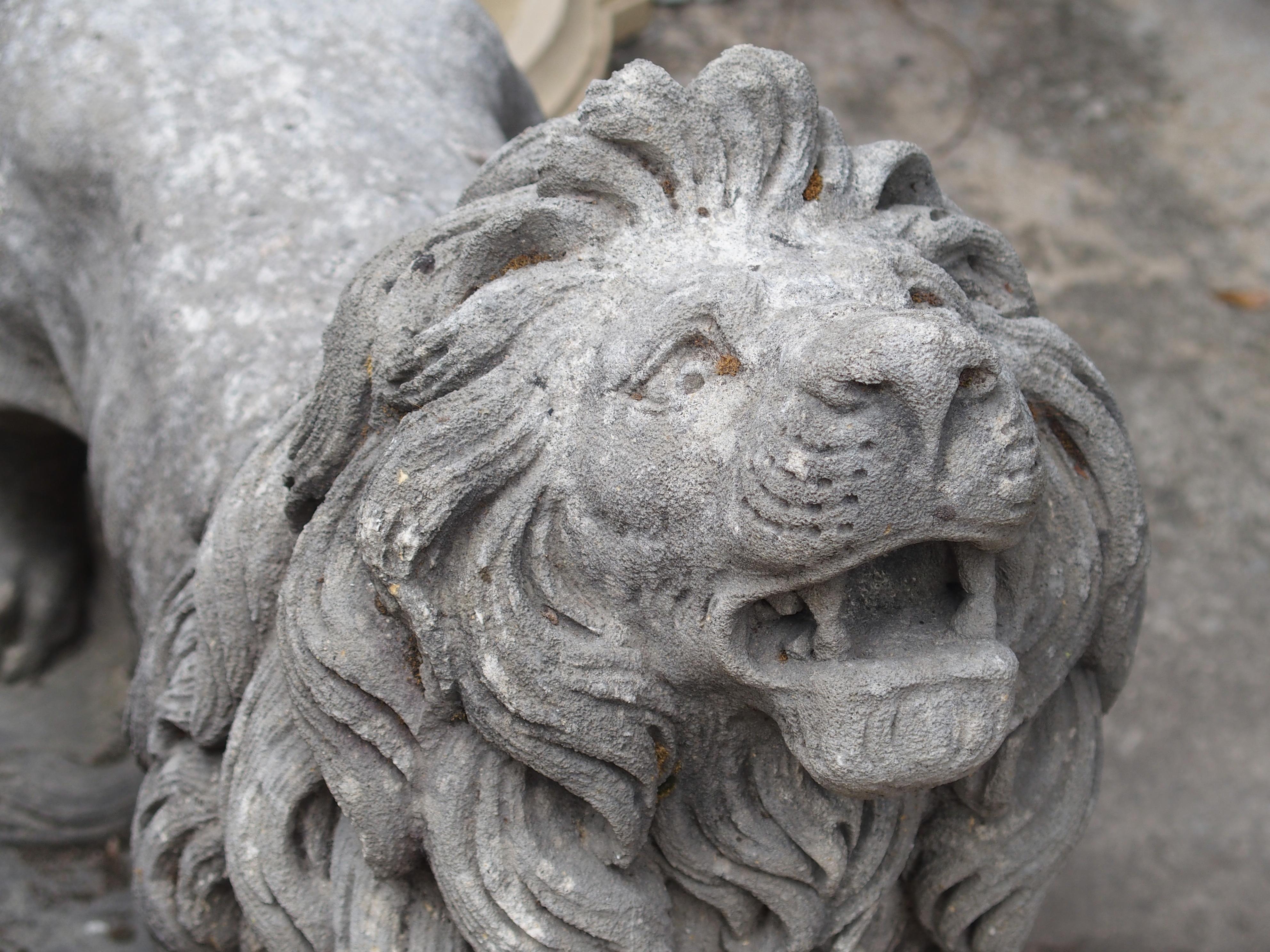 Carved Stone Medici Lion from Italy 5