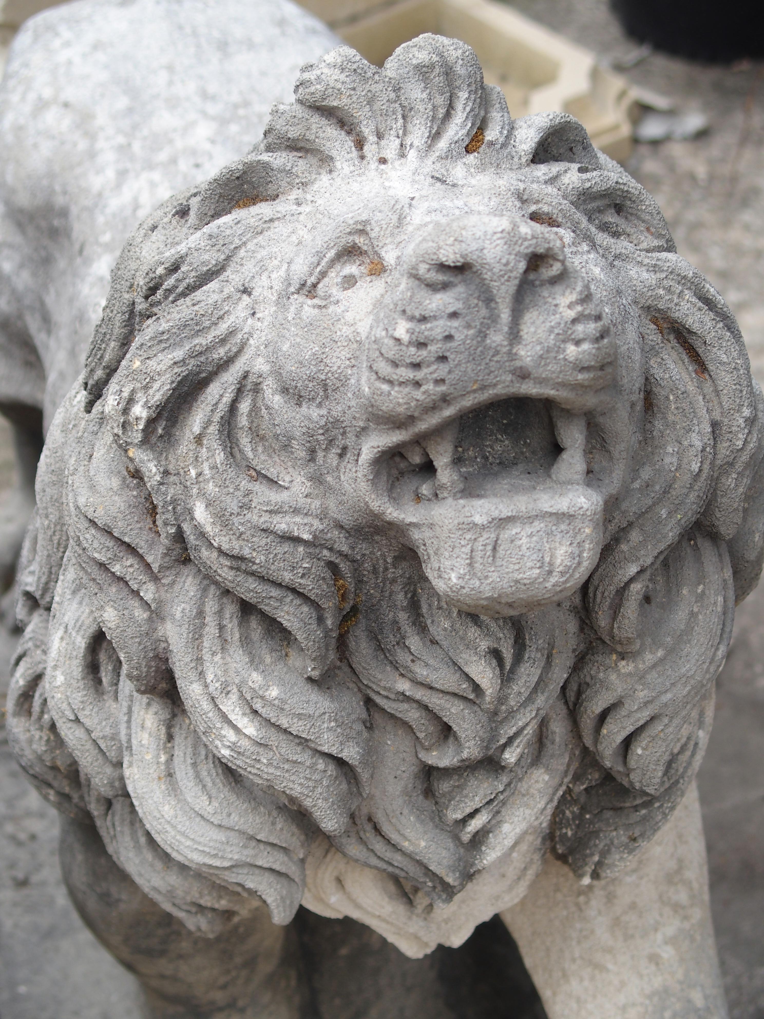 Carved Stone Medici Lion from Italy 6