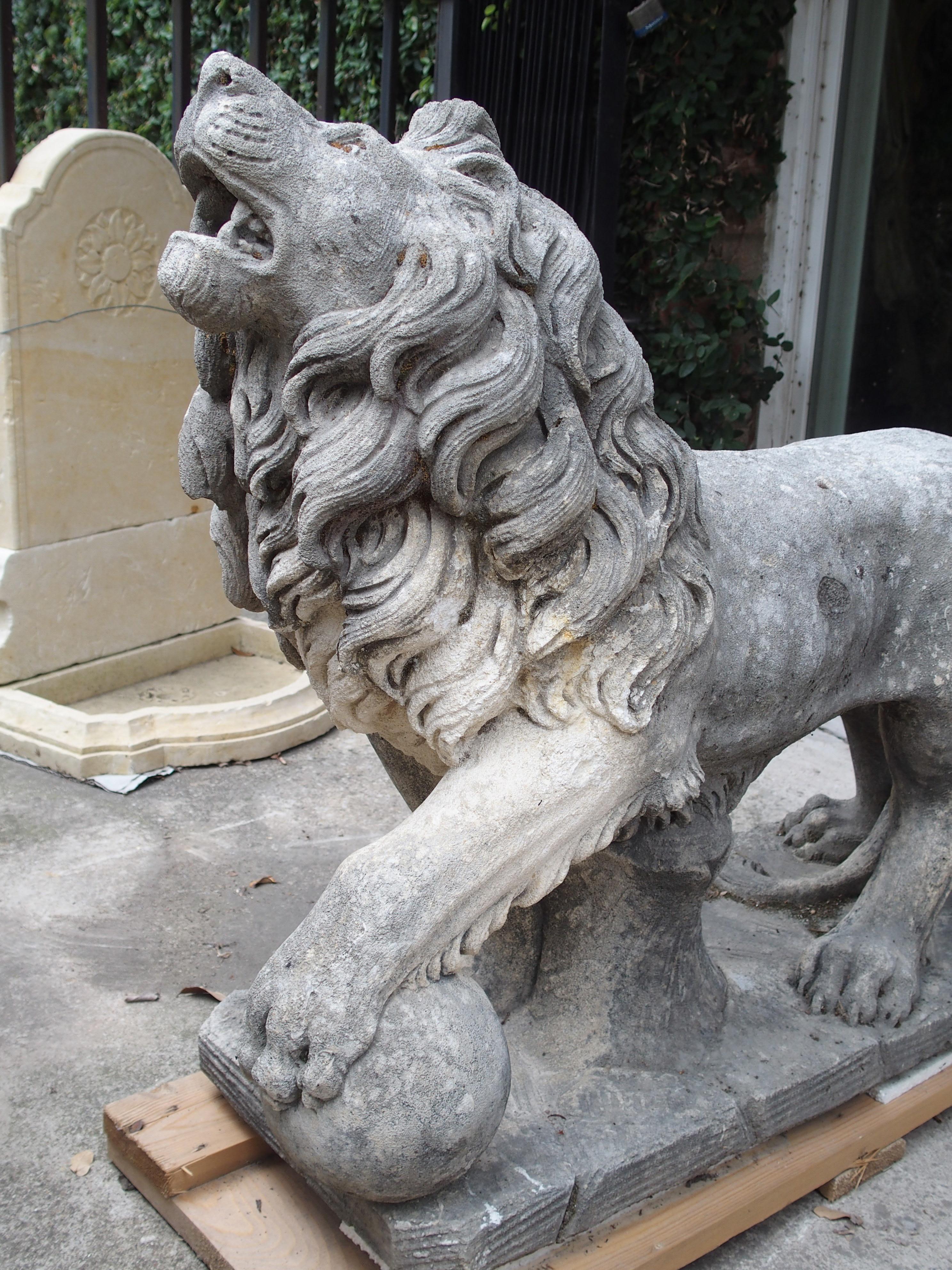 Carved Stone Medici Lion from Italy 8