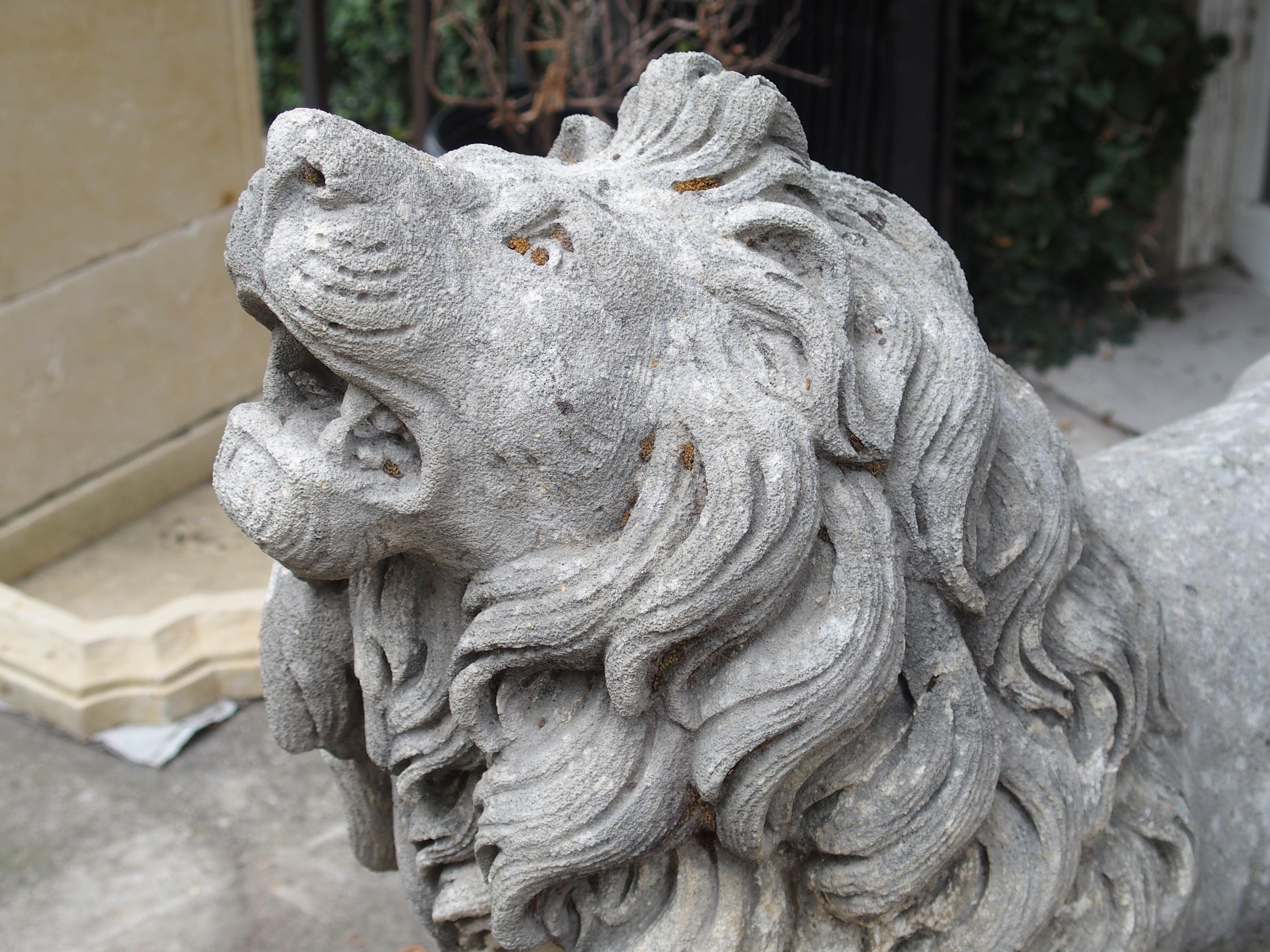 Carved Stone Medici Lion from Italy 9