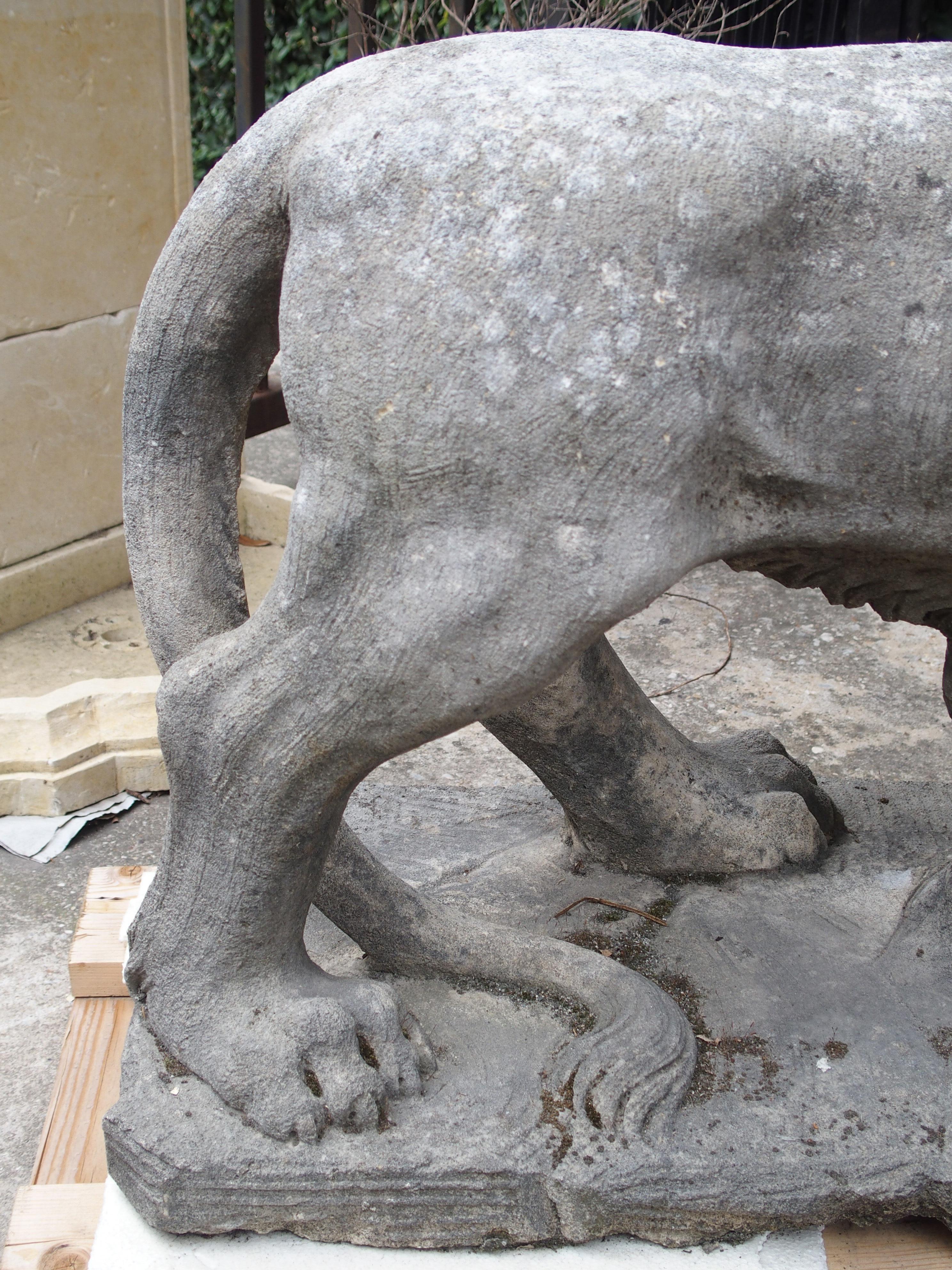 Carved Stone Medici Lion from Italy 1