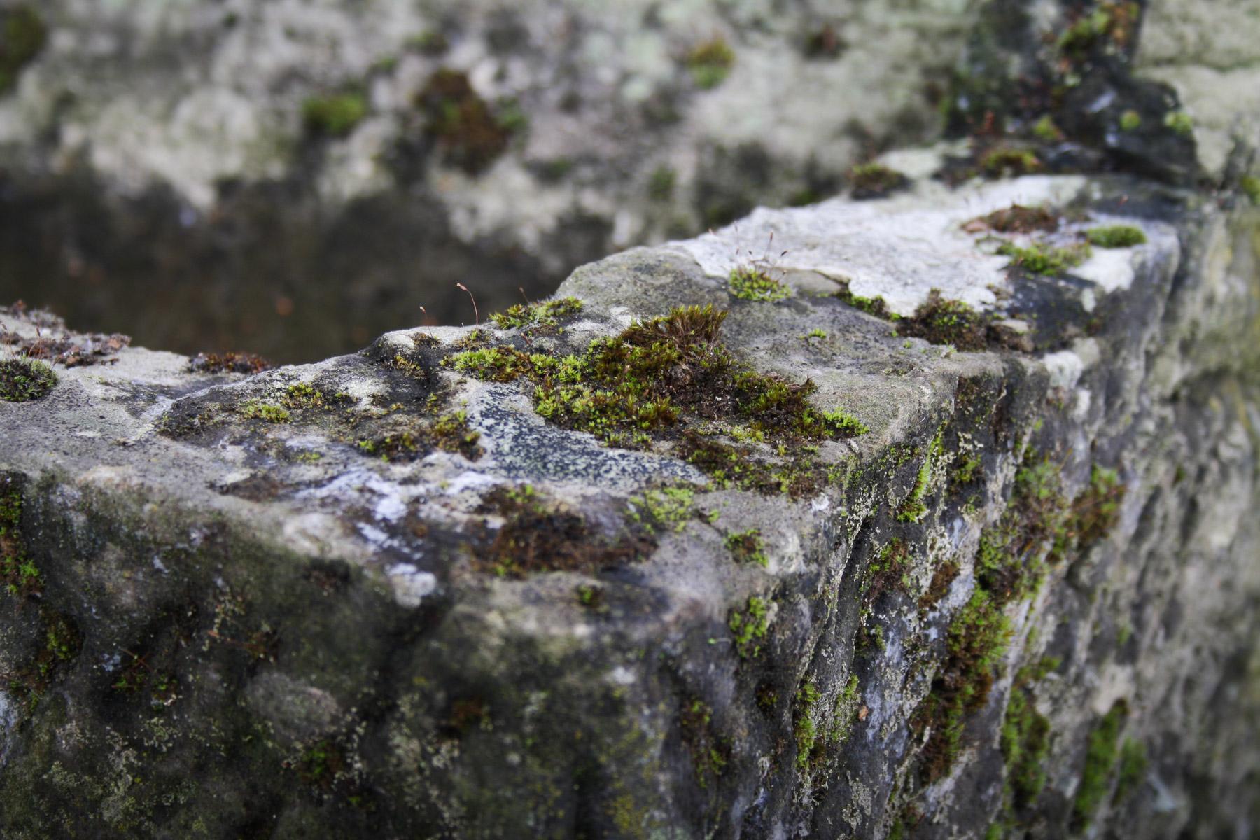 Jardinera de piedra tallada Arenisca envejecida Fuente de jardín en venta 7