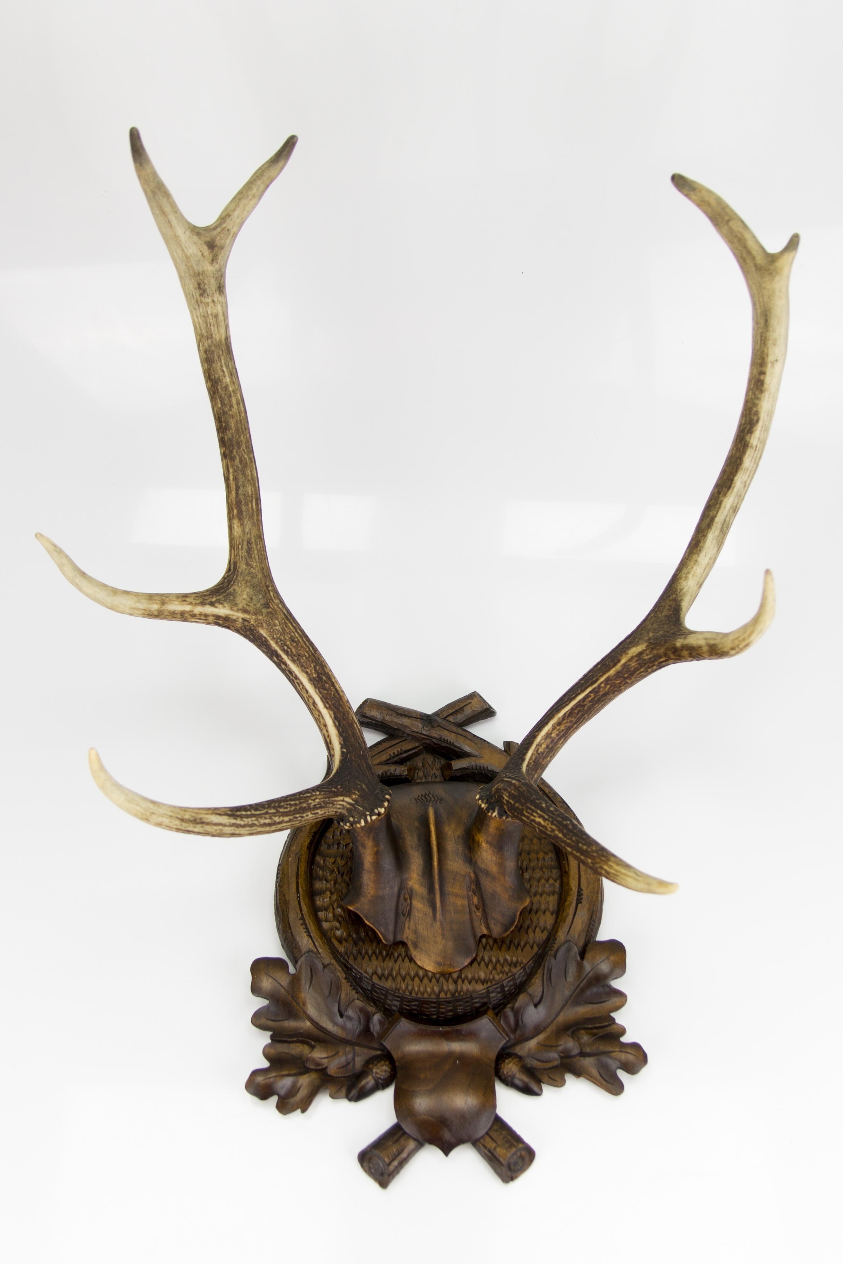 Carved Trophy Board with Eight Point Antlers, Germany, Late 19th Century 5