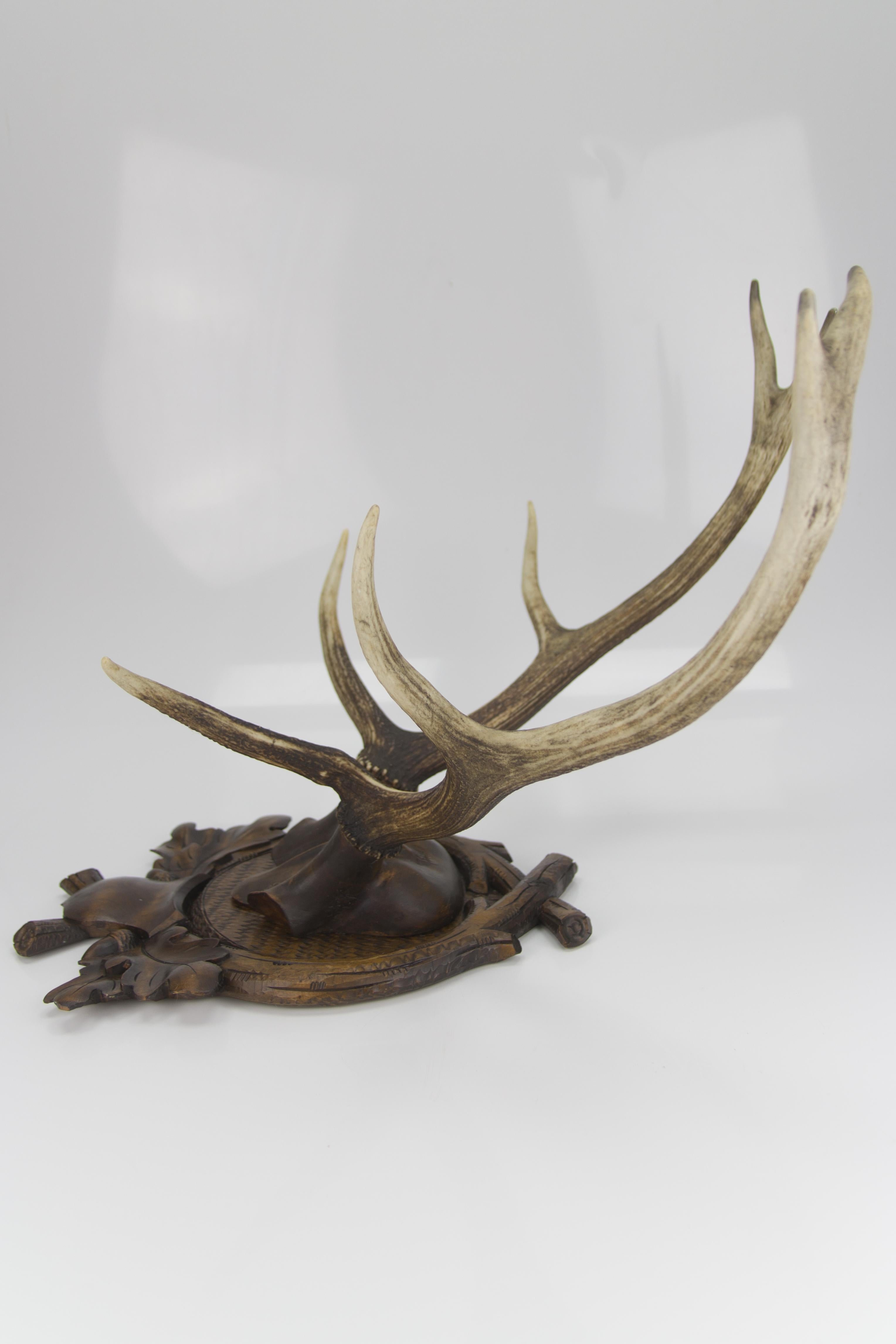 Carved Trophy Board with Eight Point Antlers, Germany, Late 19th Century 11