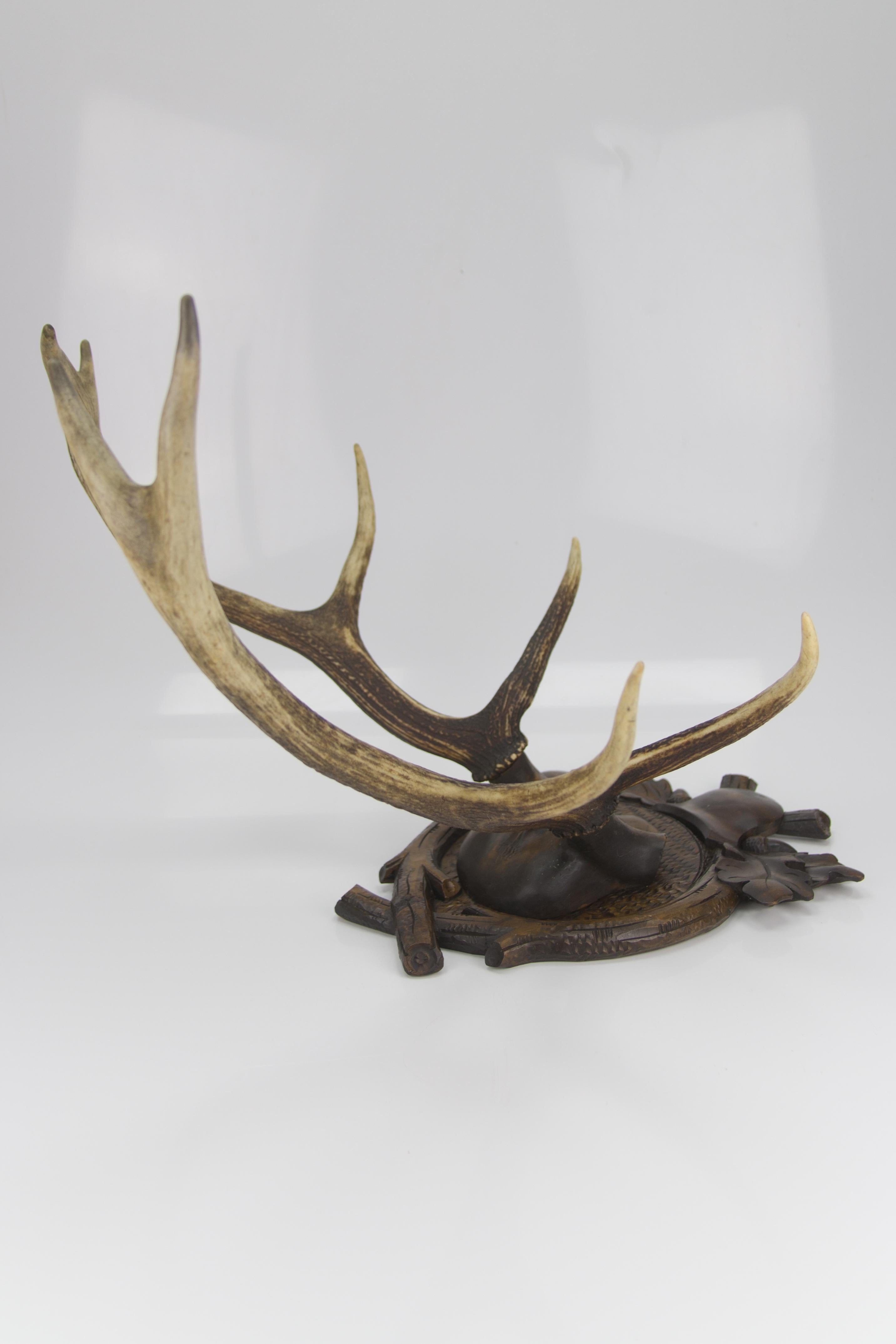 Carved Trophy Board with Eight Point Antlers, Germany, Late 19th Century 12