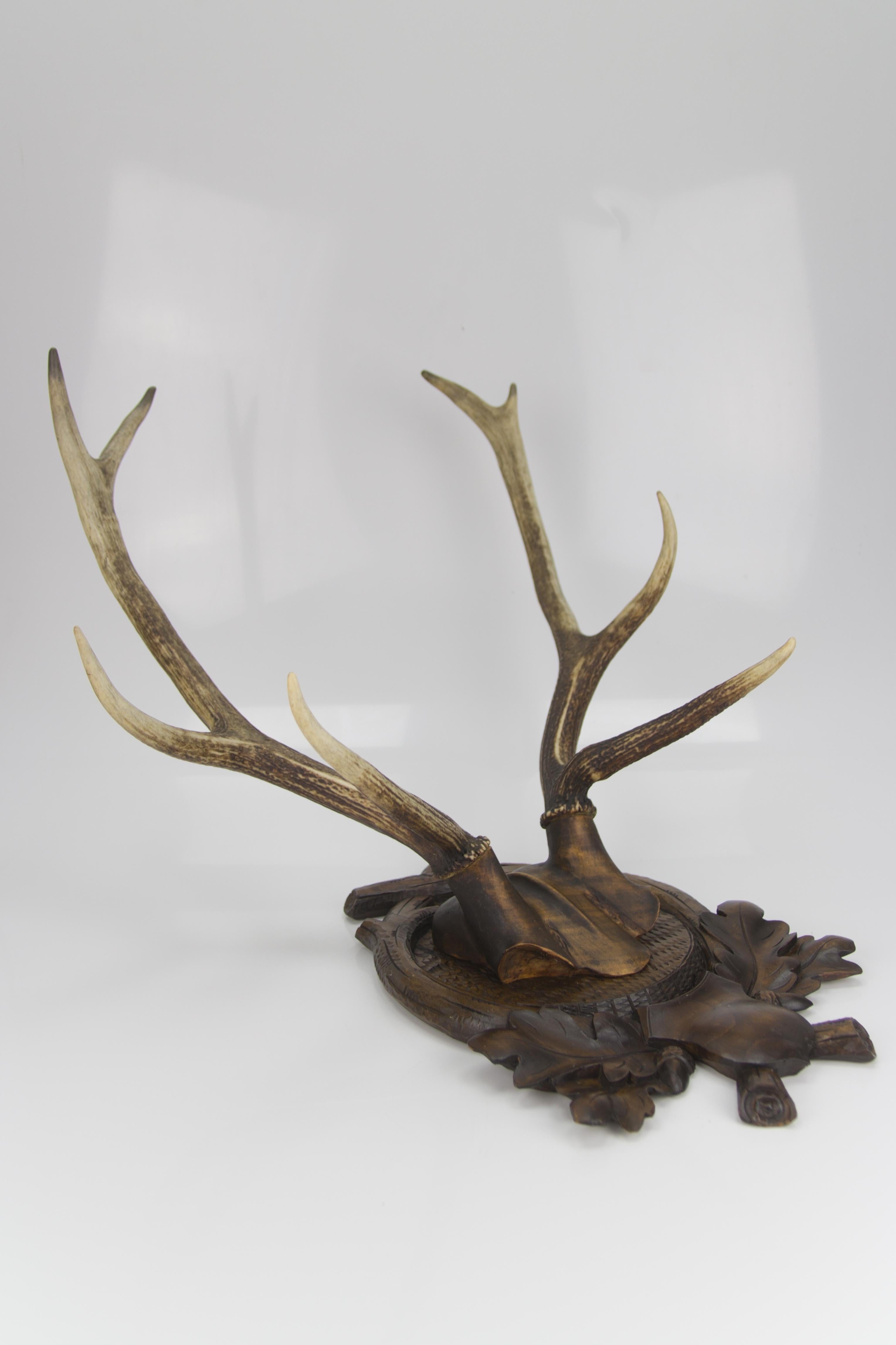 Carved Trophy Board with Eight Point Antlers, Germany, Late 19th Century 13