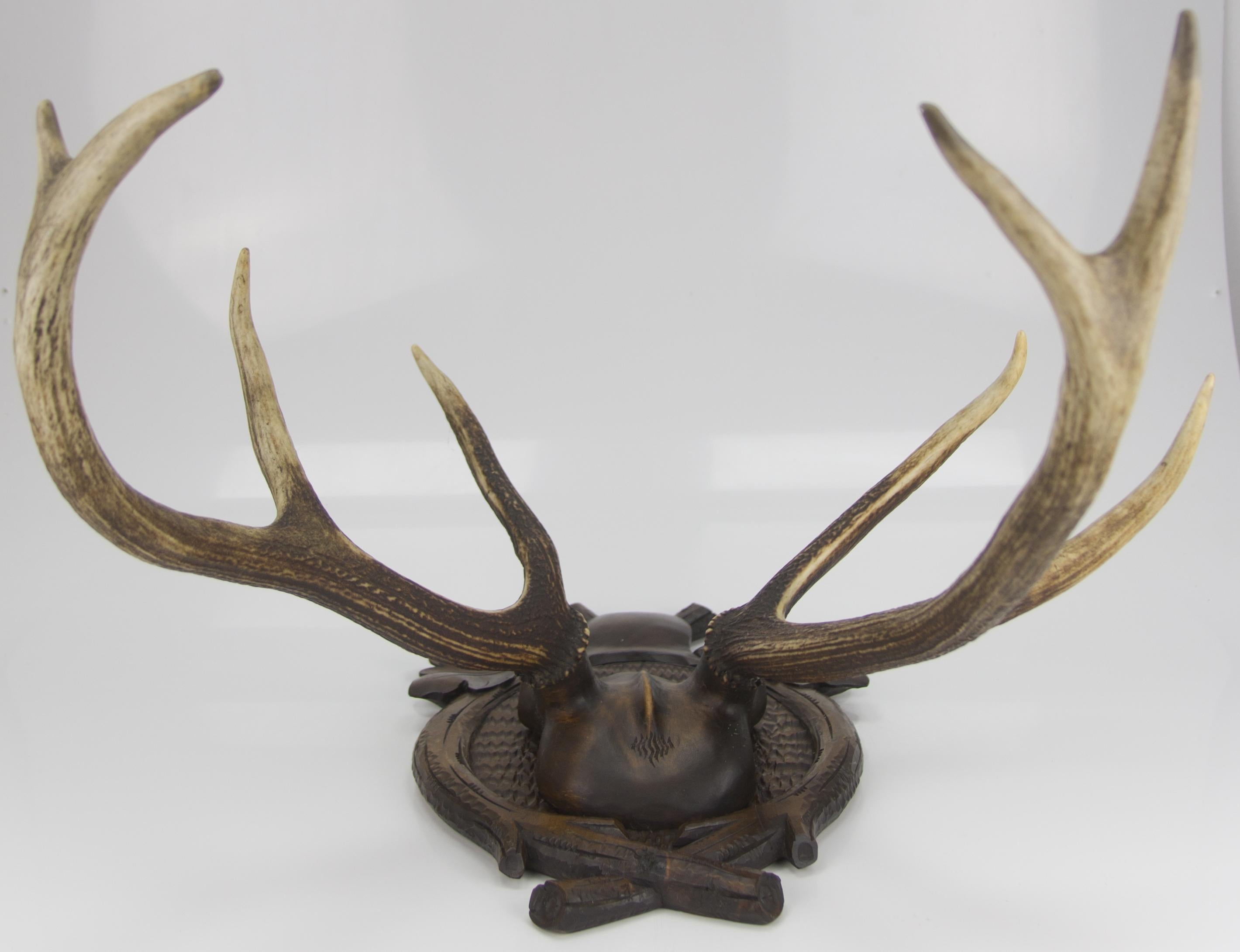 Carved Trophy Board with Eight Point Antlers, Germany, Late 19th Century 14