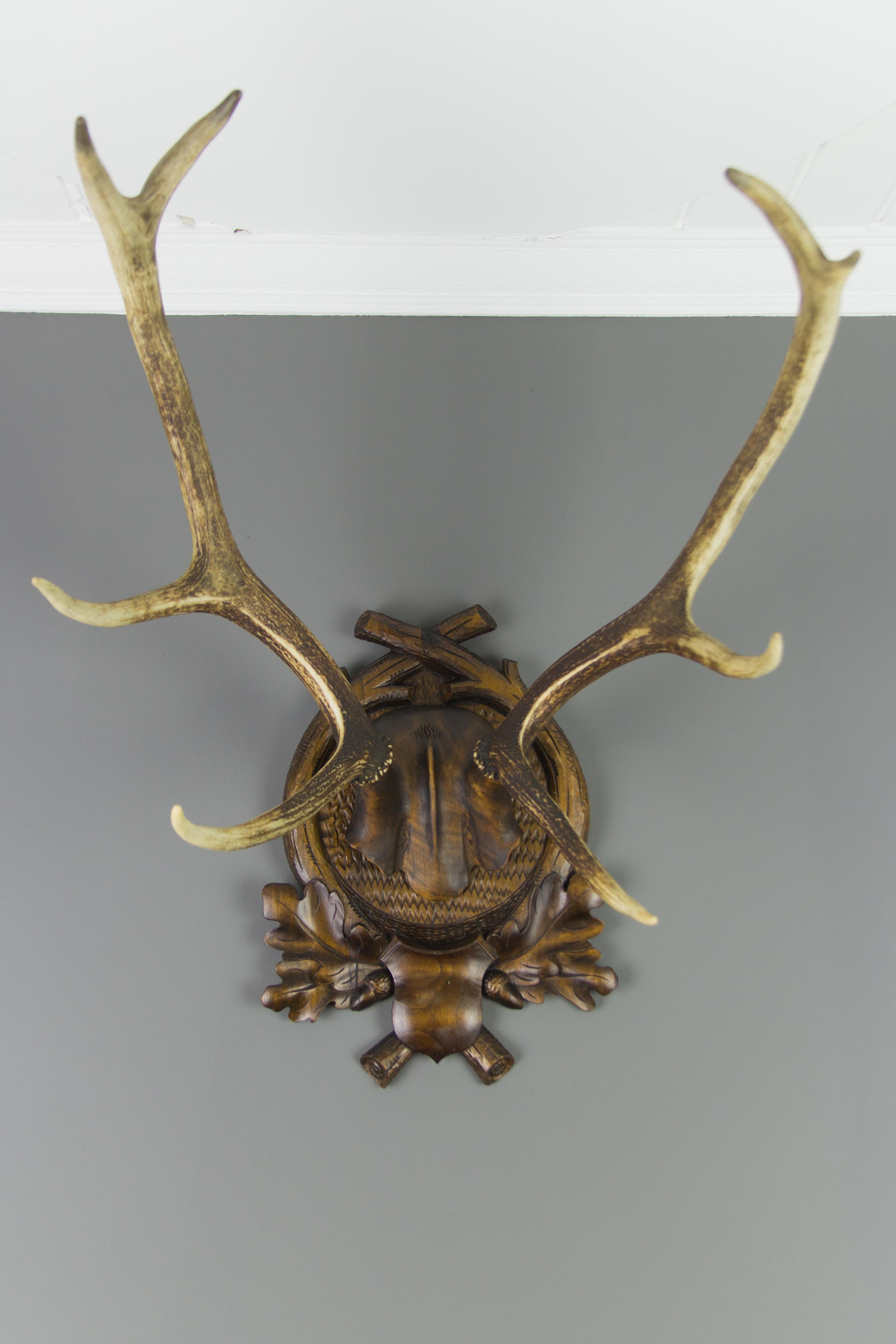 Very beautiful woodcarving with eight-point antlers from the late 19th century, the Black Forest region, Germany. Masterfully carved stylized deer skull on a trophy board ornate with oak leaves and acorns.
Dimensions circa: height 62 cm / 24.4 in,
