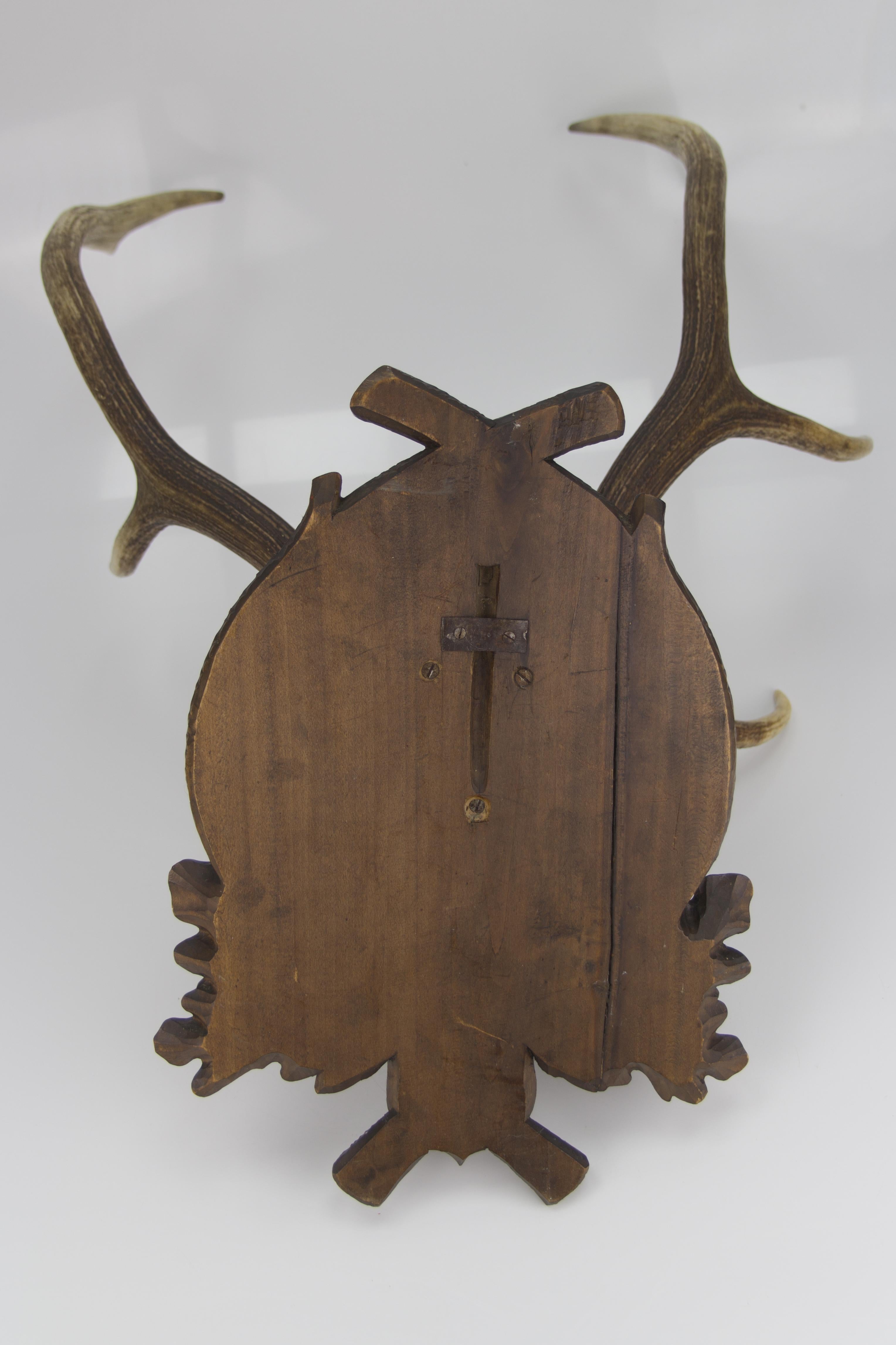 Carved Trophy Board with Eight Point Antlers, Germany, Late 19th Century 15