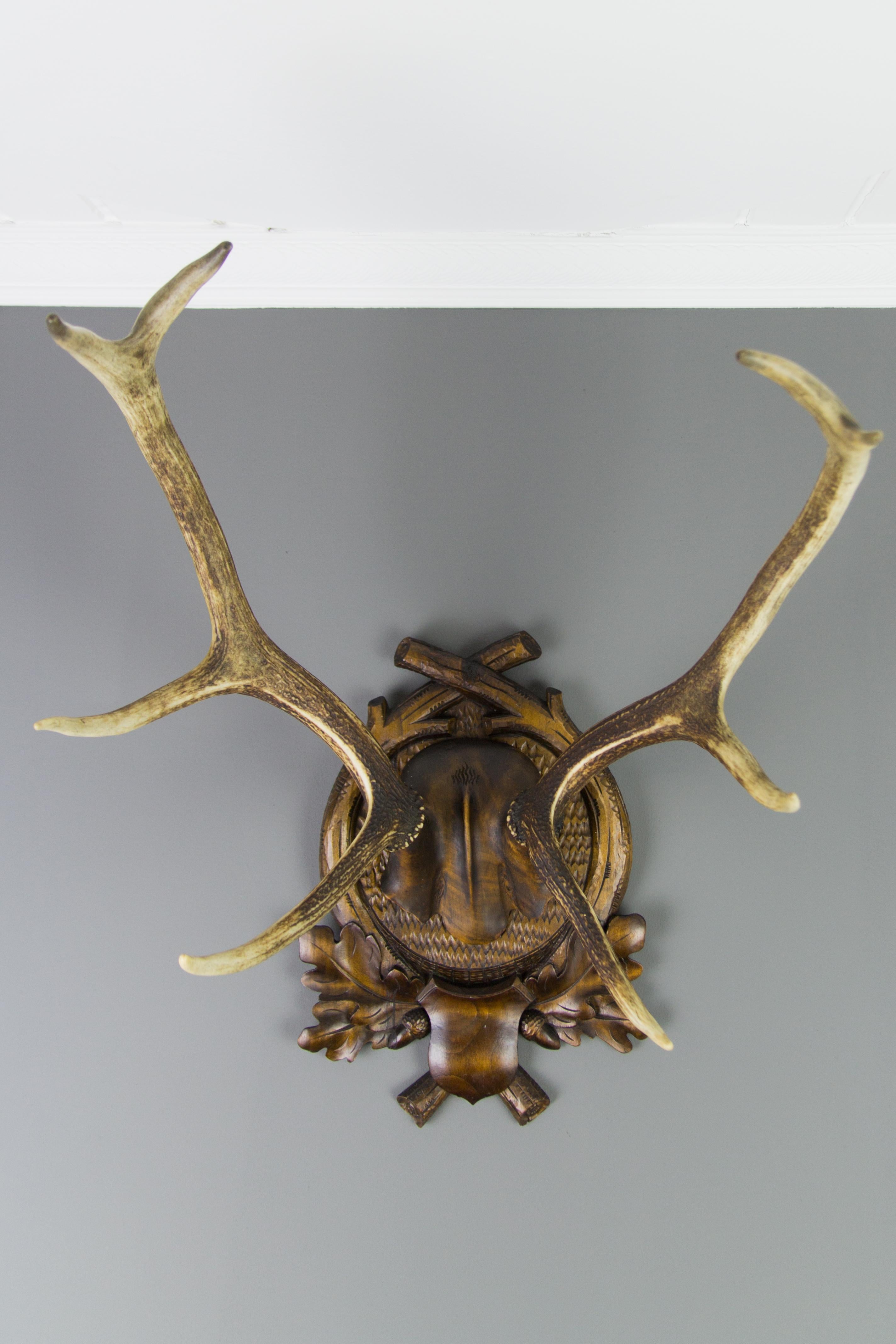 Carved Trophy Board with Eight Point Antlers, Germany, Late 19th Century 1