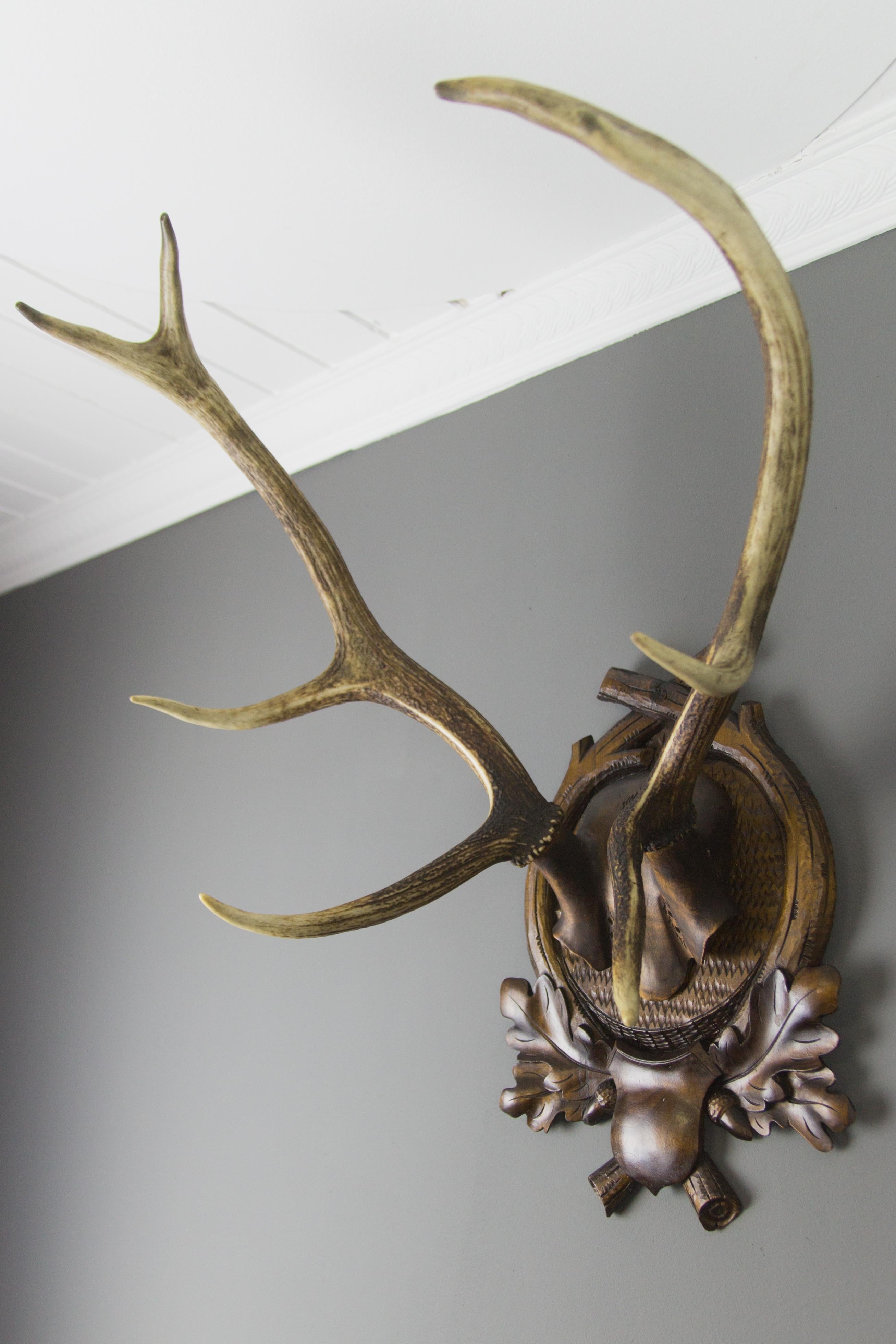 Carved Trophy Board with Eight Point Antlers, Germany, Late 19th Century 2