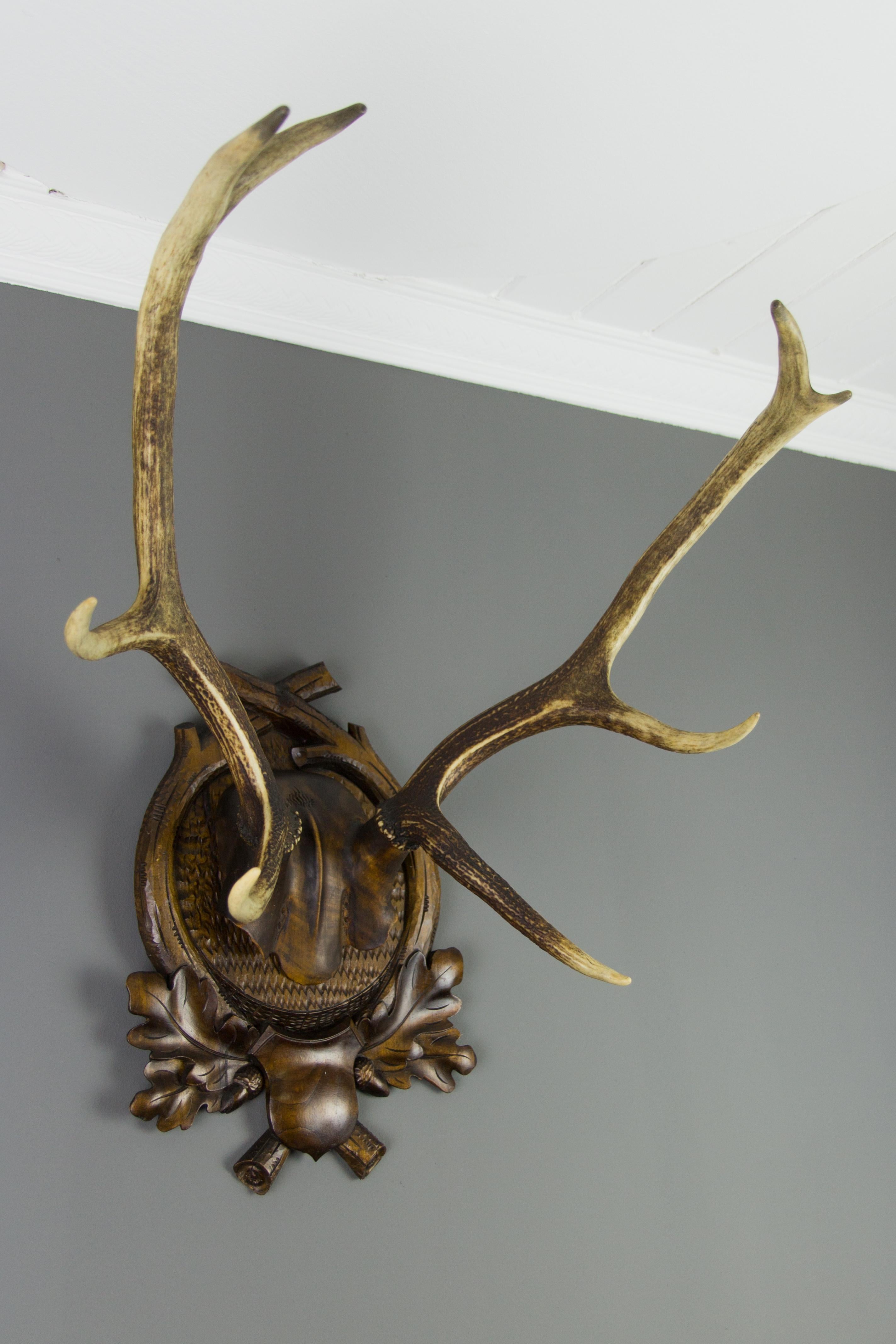 Carved Trophy Board with Eight Point Antlers, Germany, Late 19th Century 3