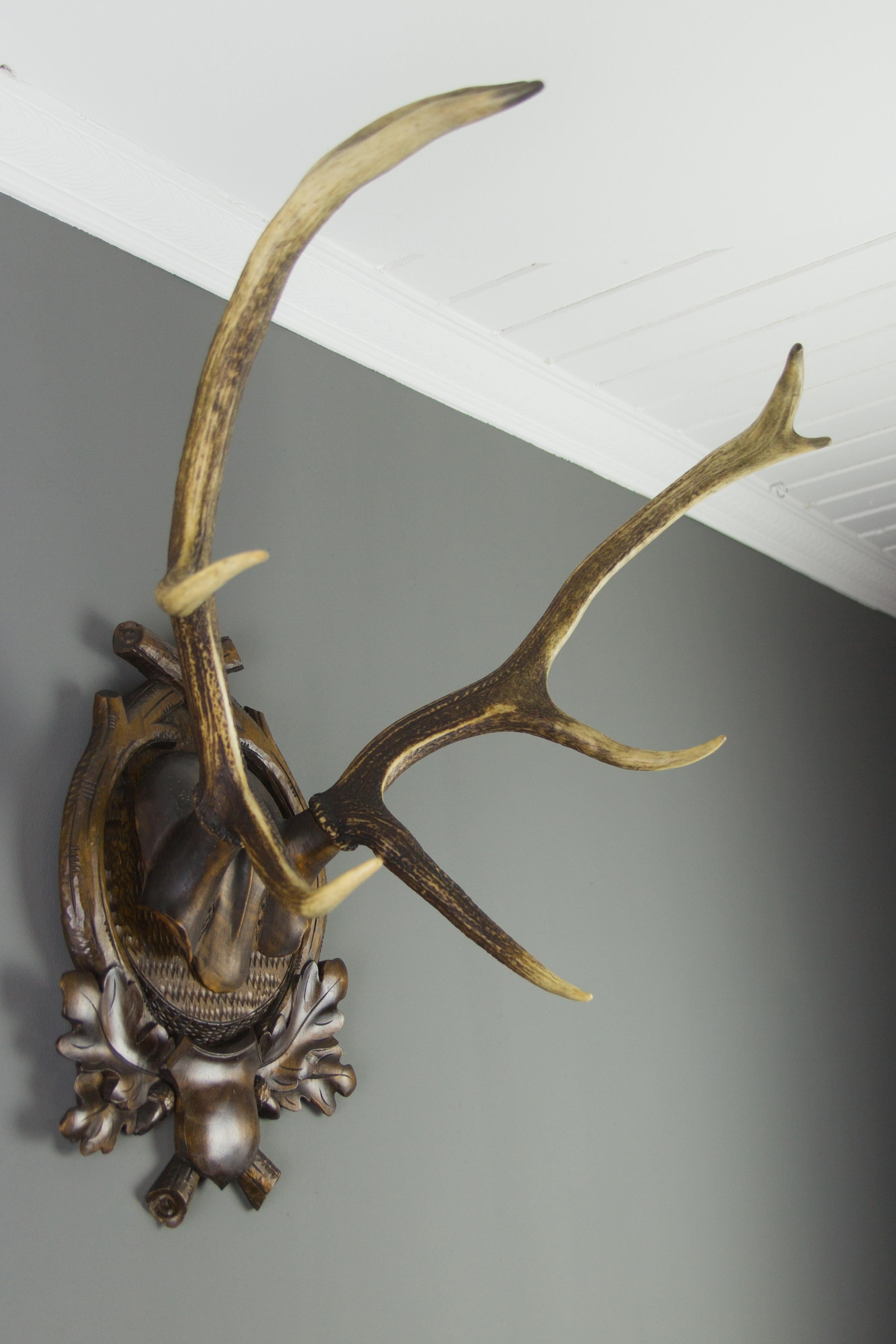 Carved Trophy Board with Eight Point Antlers, Germany, Late 19th Century 4