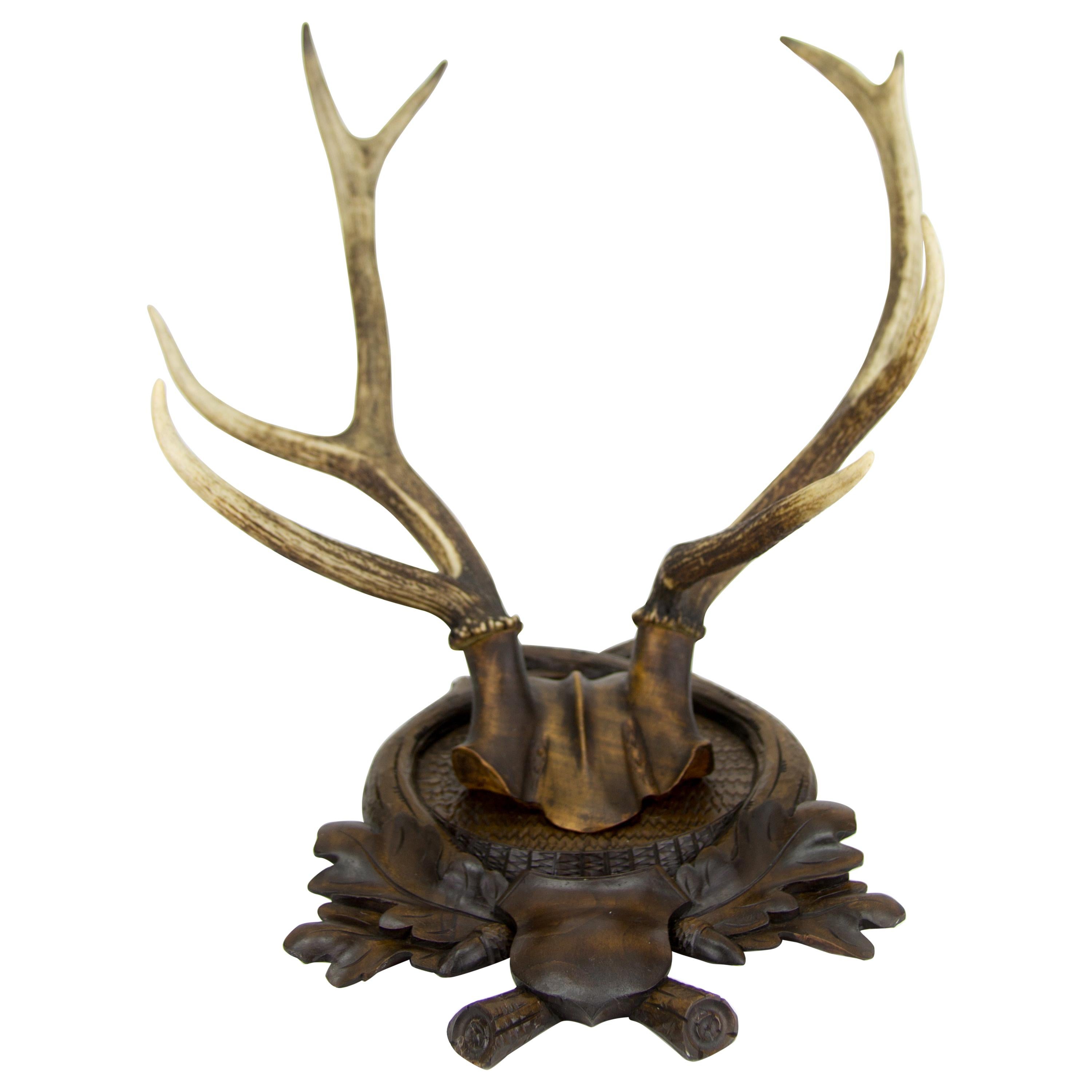 Carved Trophy Board with Eight Point Antlers, Germany, Late 19th Century
