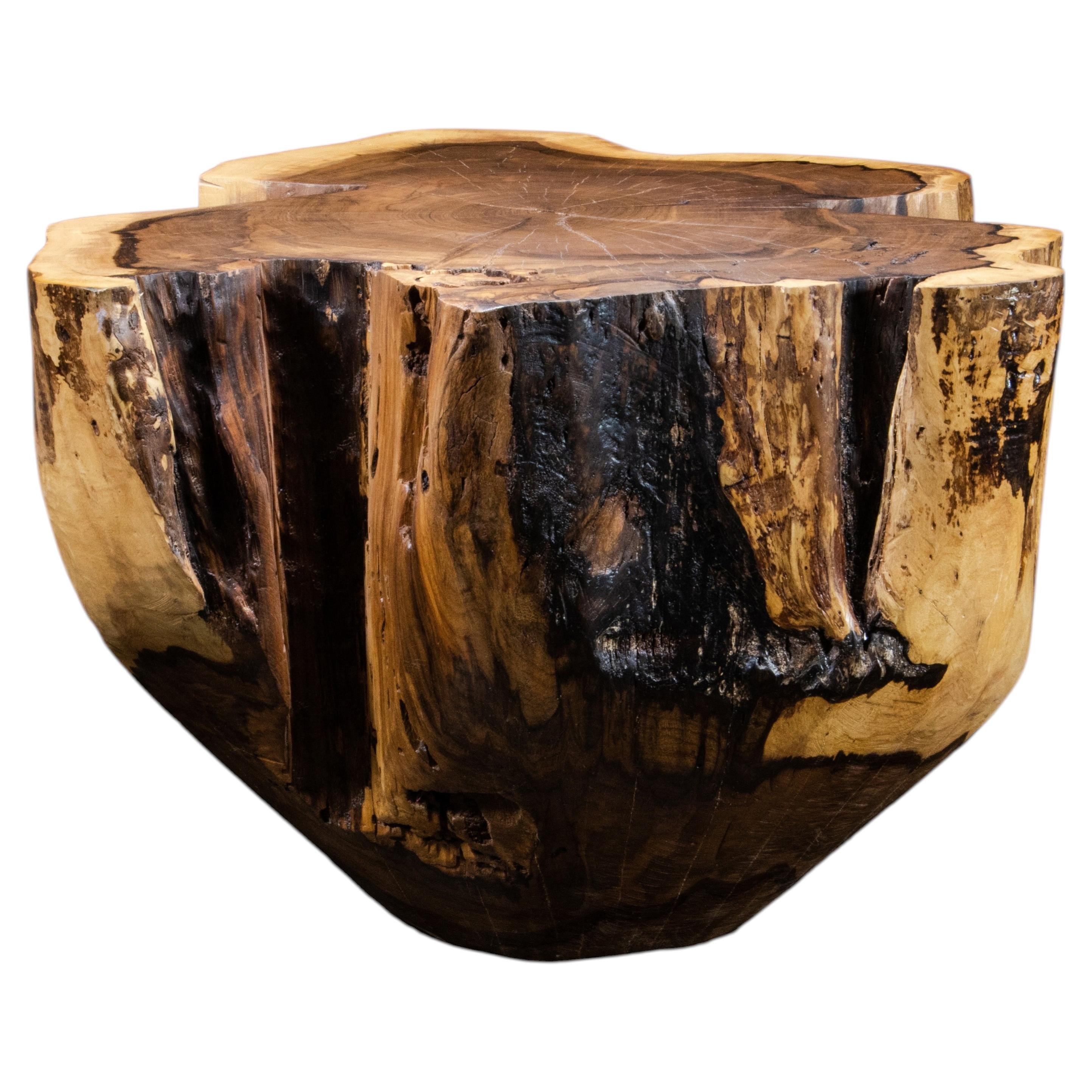 Carved Trunk Solid Exotic Wood Live Edge Table ƒ41 from Costantini, Francisco
