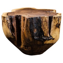 Mesa de canto vivo de madera maciza exótica tallada en tronco ƒ41 de Costantini, Francisco