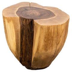 Carved Trunk Solid Exotic Wood Live Edge Table ƒ42 from Costantini, Francisco