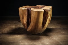 Carved Trunk Solid Exotic Wood Live Edge Table ƒ43 from Costantini, Francisco