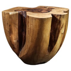 Carved Trunk Solid Exotic Wood Live Edge Table ƒ43 from Costantini, Francisco