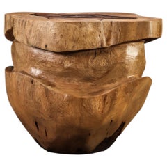 Carved Trunk Solid Exotic Wood Live Edge Table ƒ45 from Costantini, Francisco