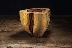 Carved Trunk Solid Exotic Wood Live Edge Table ƒ46 from Costantini, Francisco