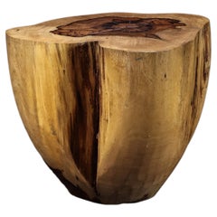 Carved Trunk Solid Exotic Wood Live Edge Table ƒ46 from Costantini, Francisco