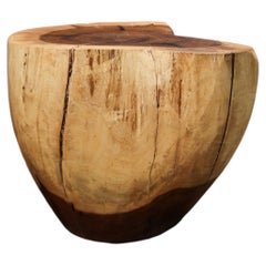 Carved Trunk Solid Exotic Wood Live Edge Table ƒ47 from Costantini, Francisco