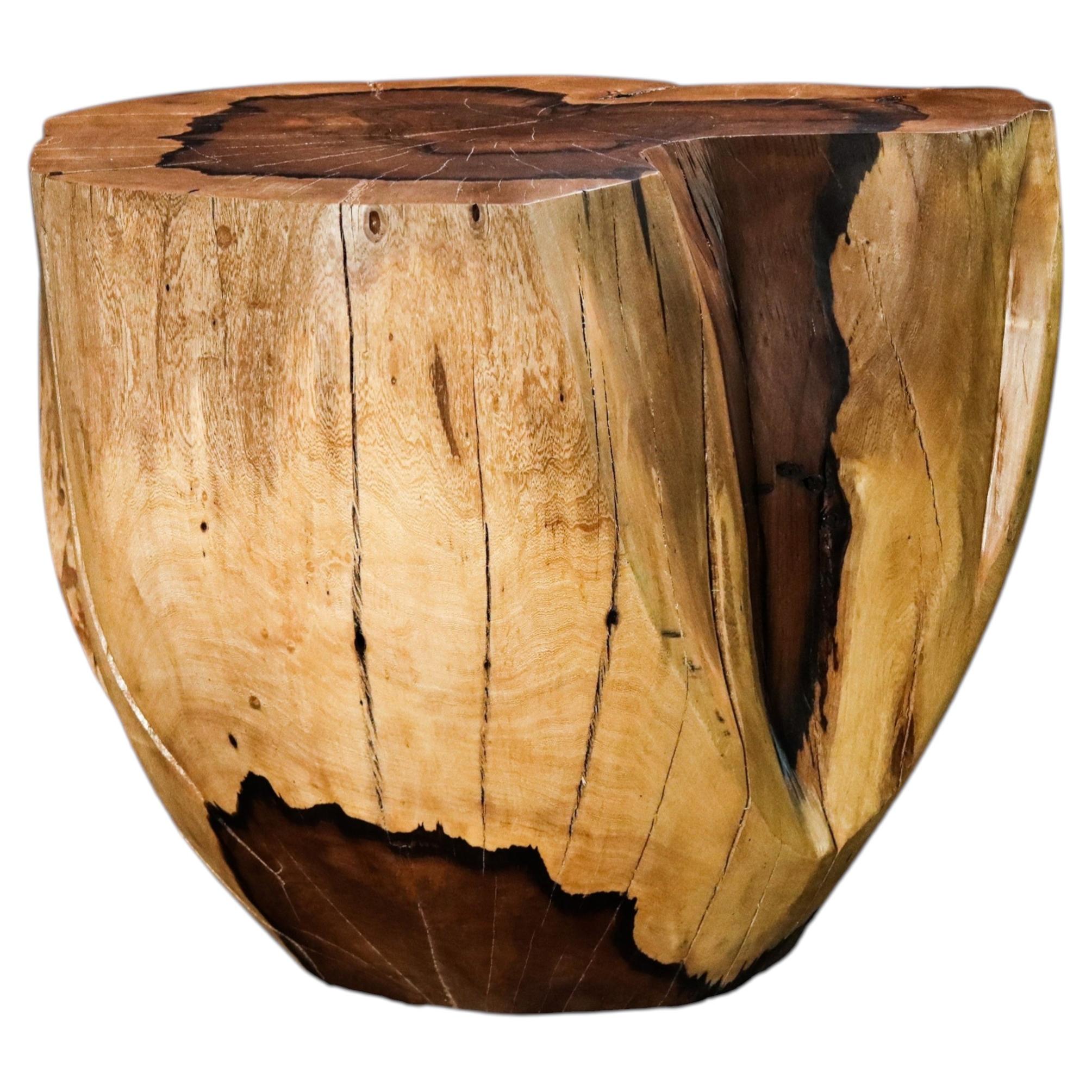 Carved Trunk Solid Exotic Wood Live Edge Table ƒ49 from Costantini, Francisco For Sale